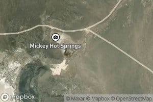 Mickey Springs