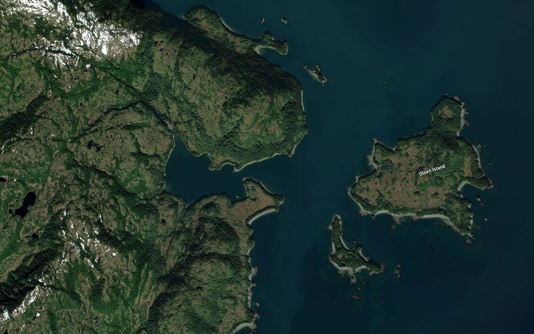 Satellite map of the Olsen Cove