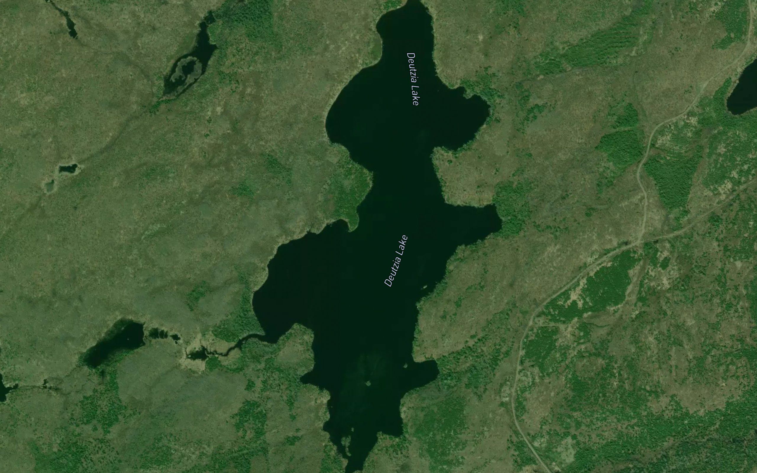 Deutzia Lake