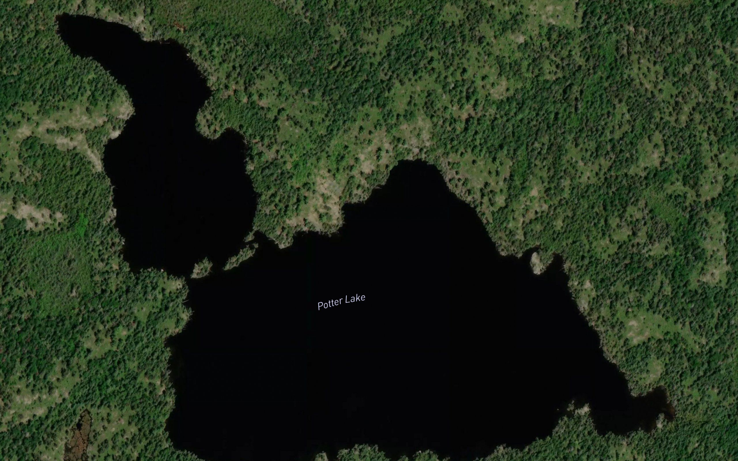Potter Lake