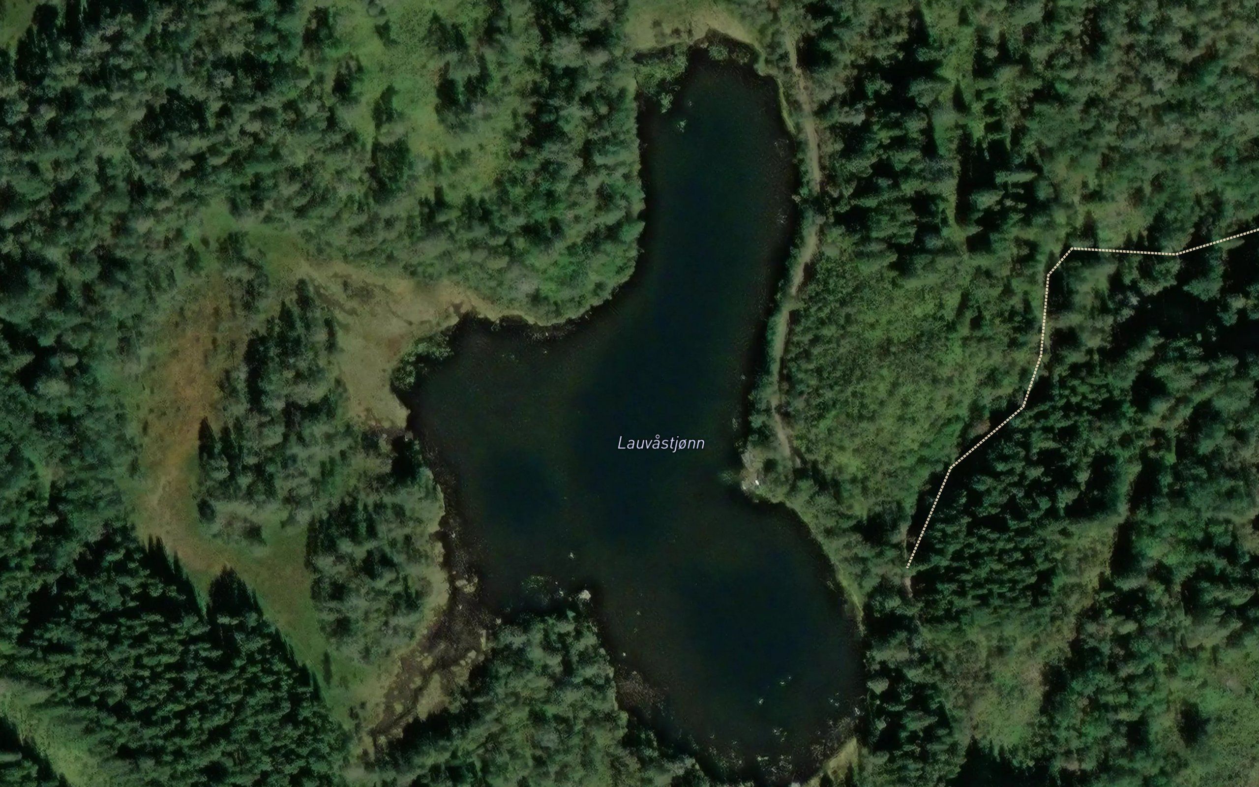 Lauvastjorna