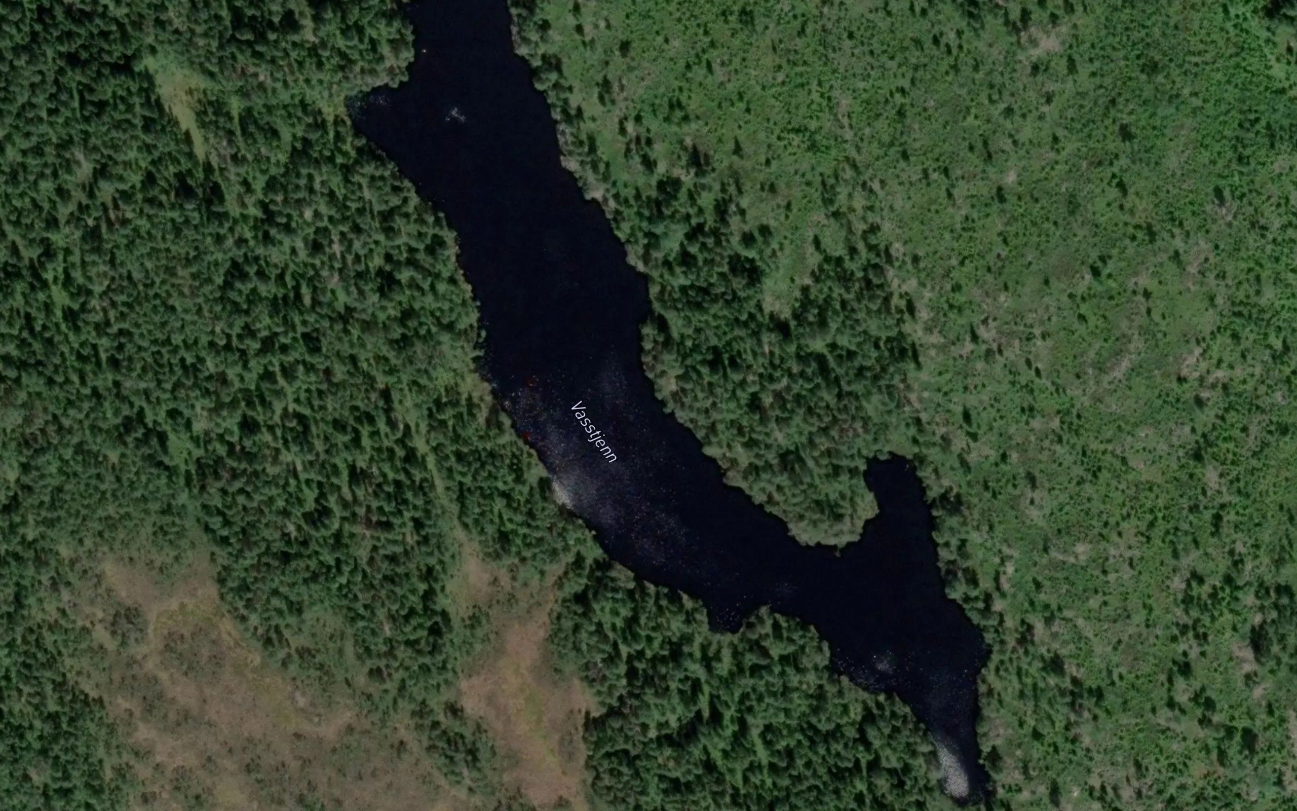 Vasstjern