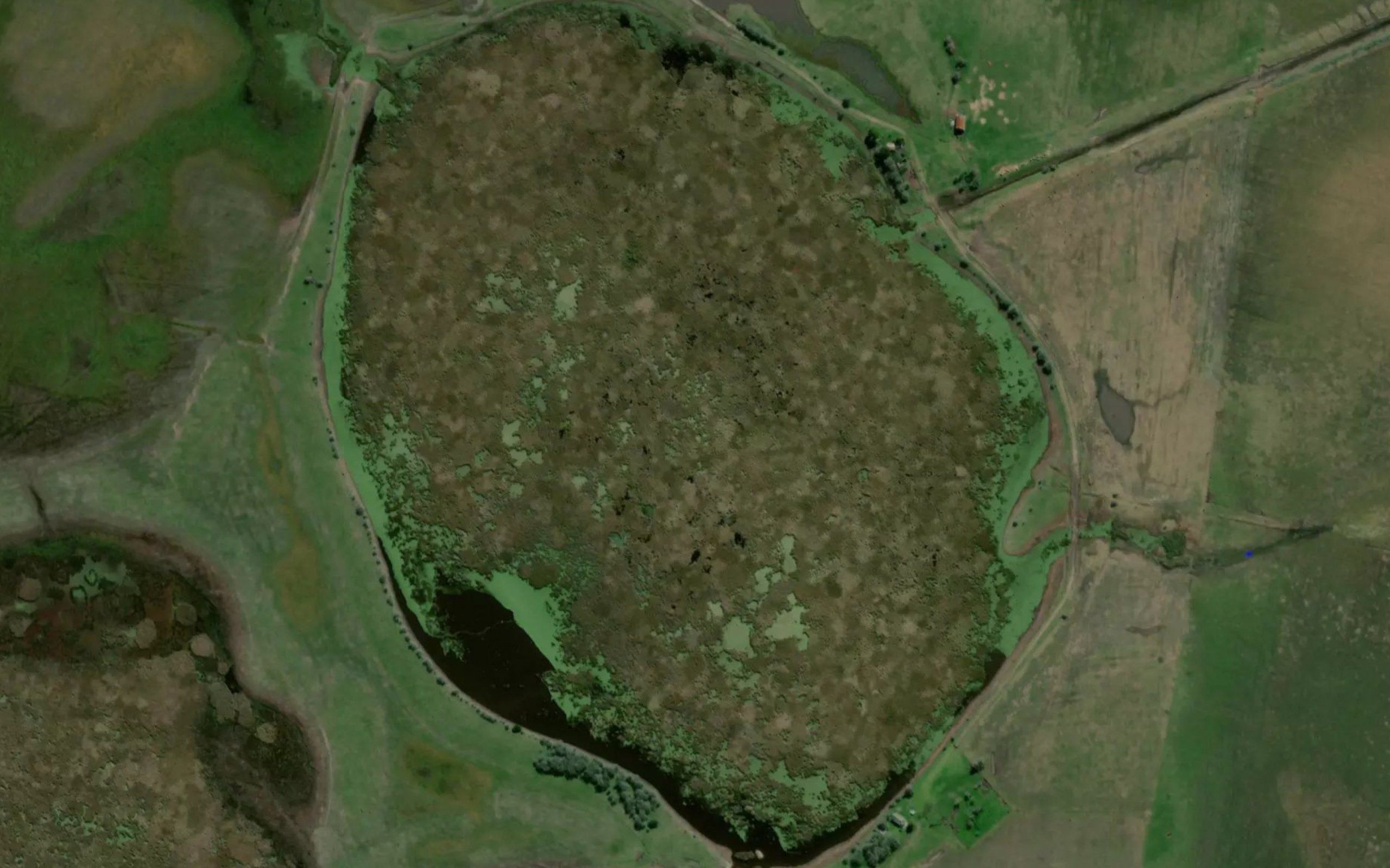 Laguna del Junco