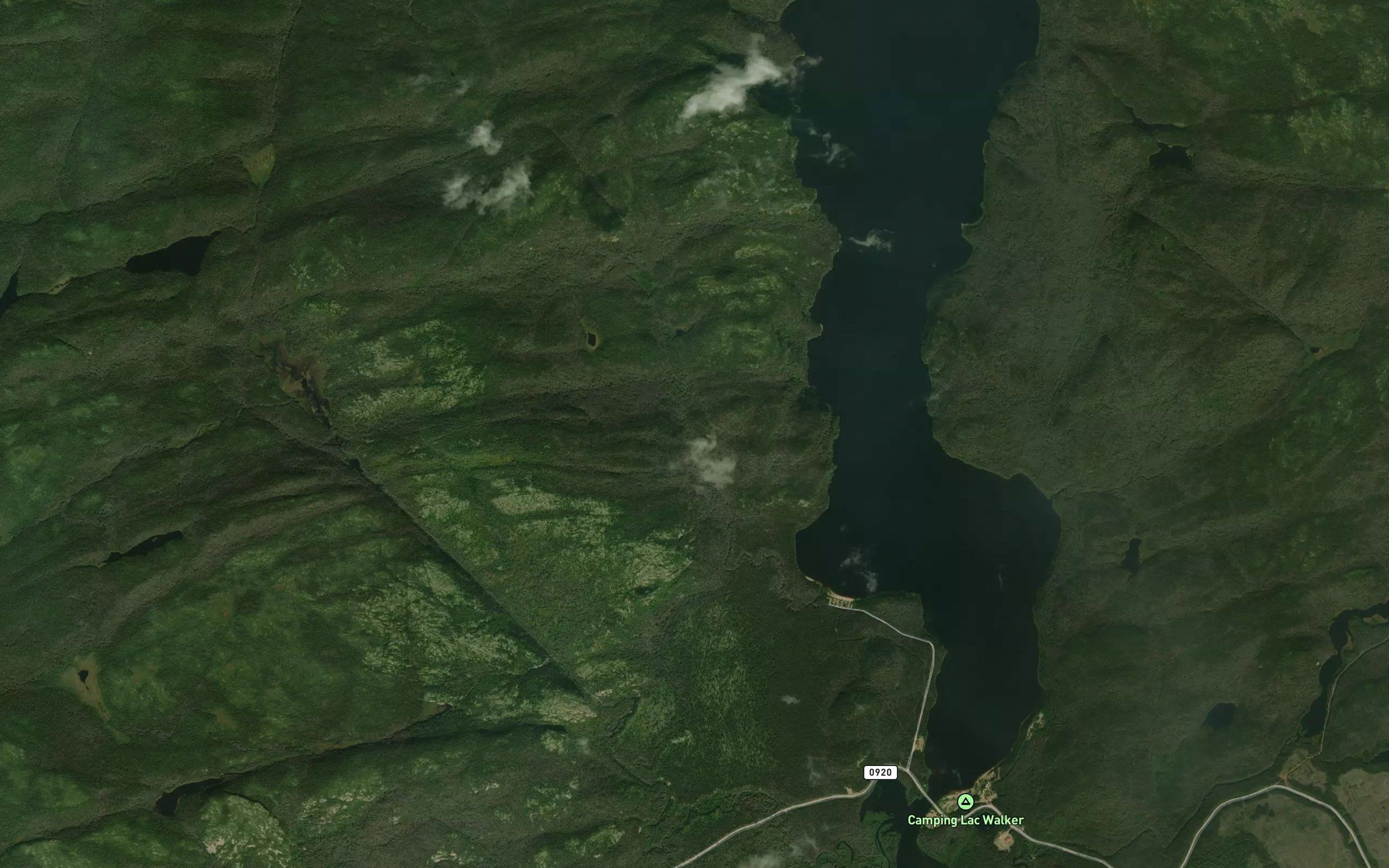 Coulee Caribou