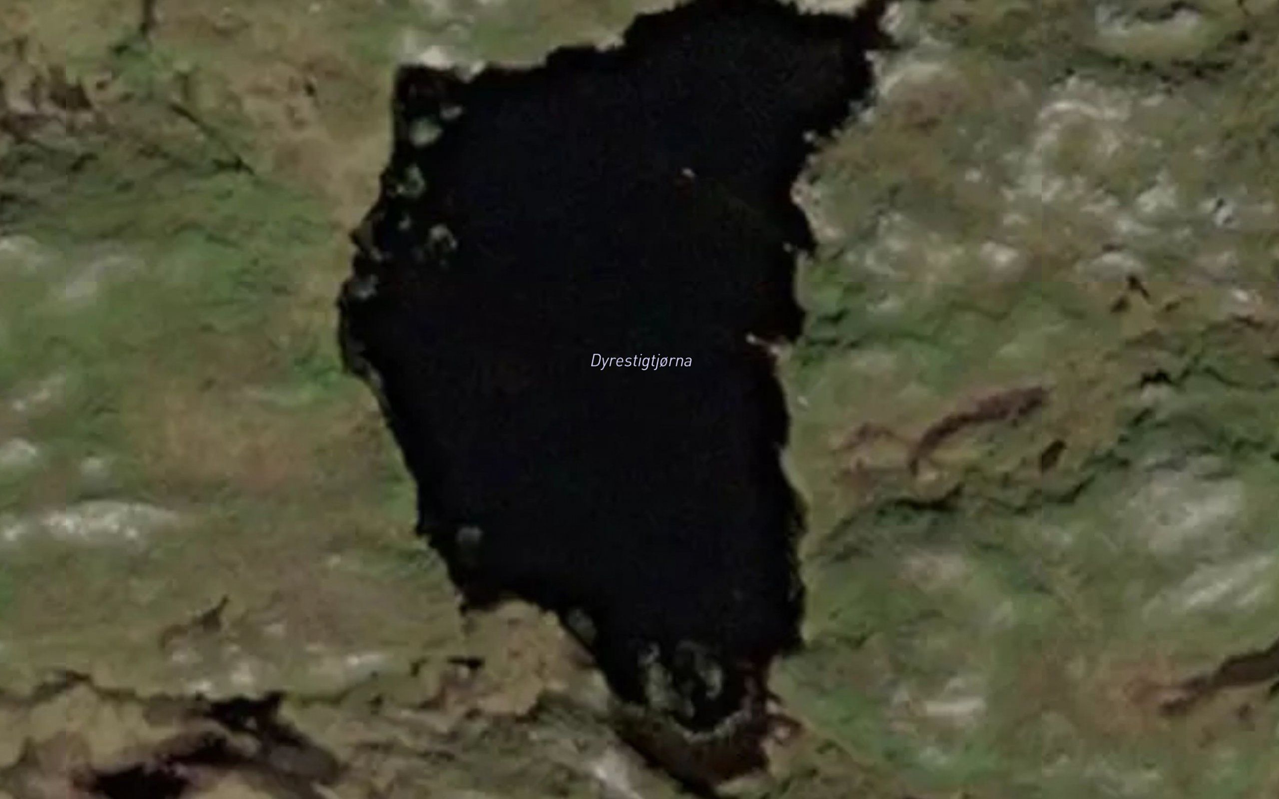 Dyrestitjorna