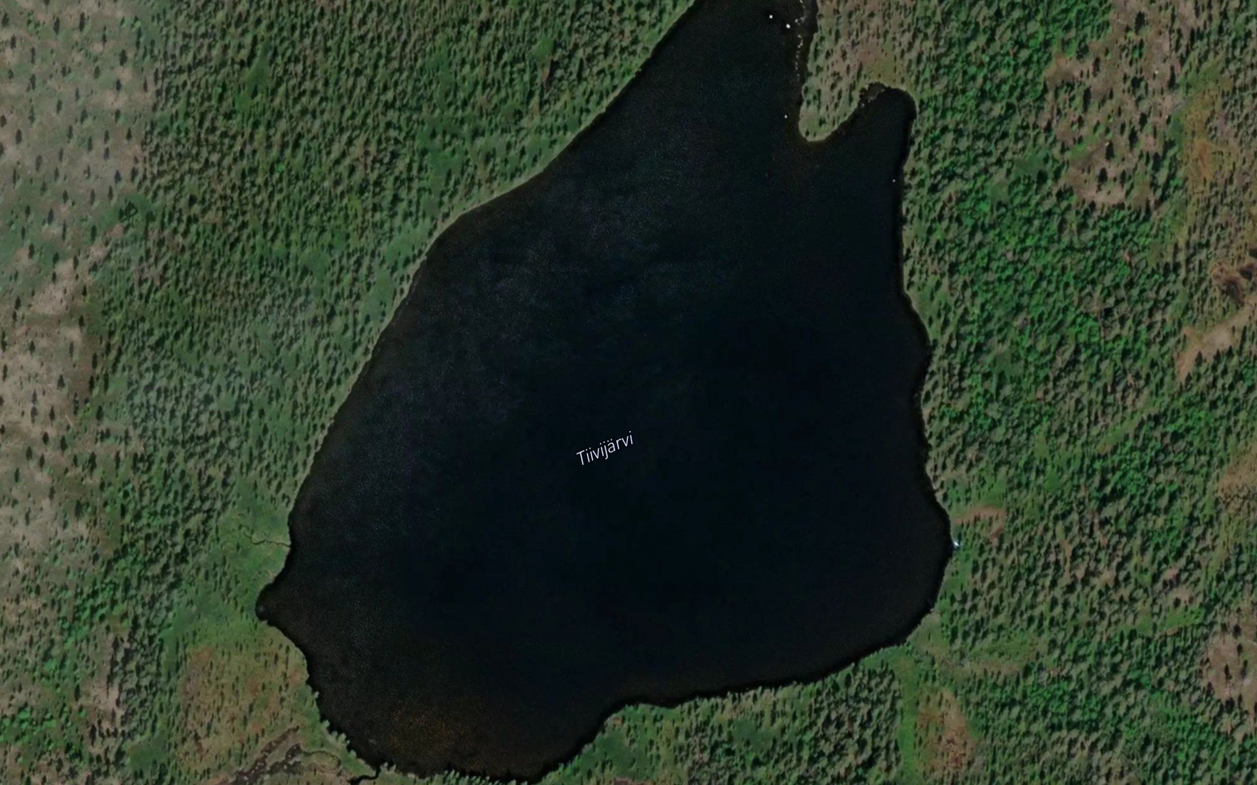 Diivejavri
