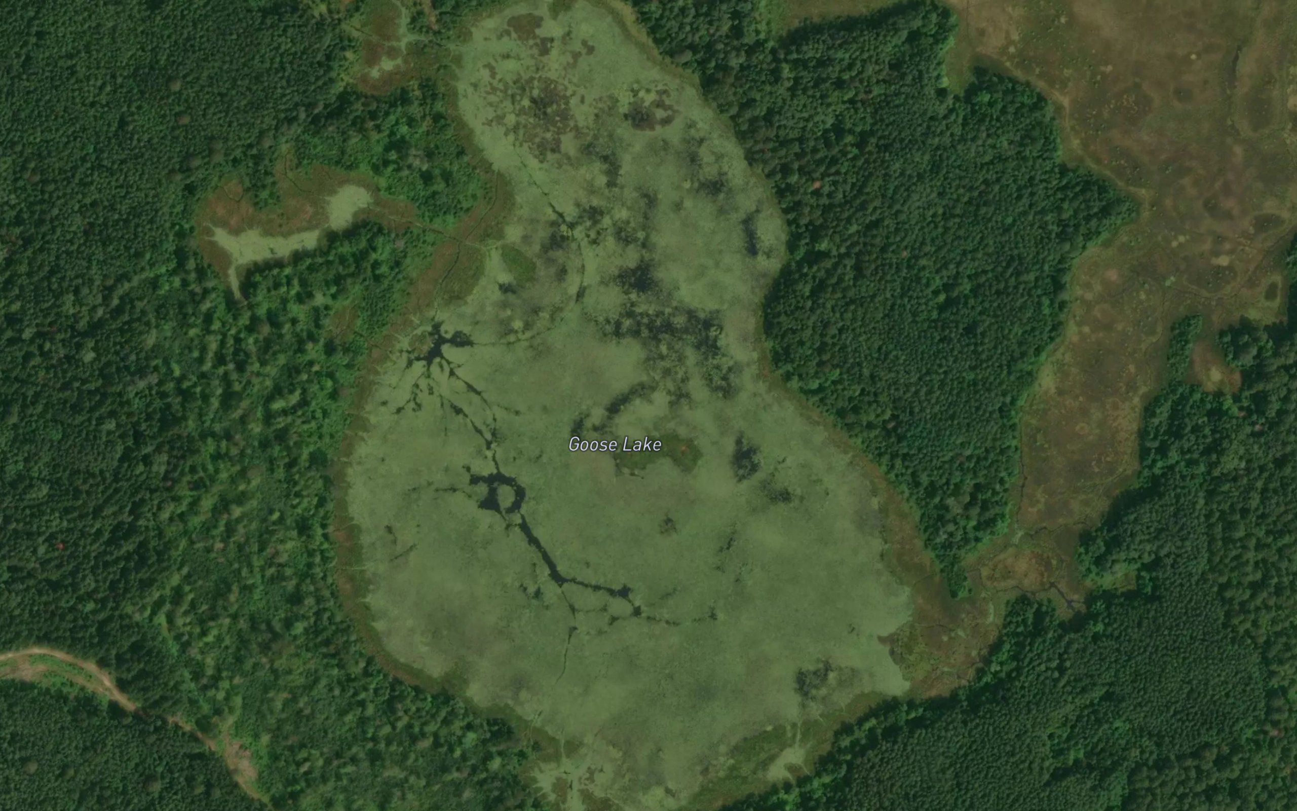 Goose Lake