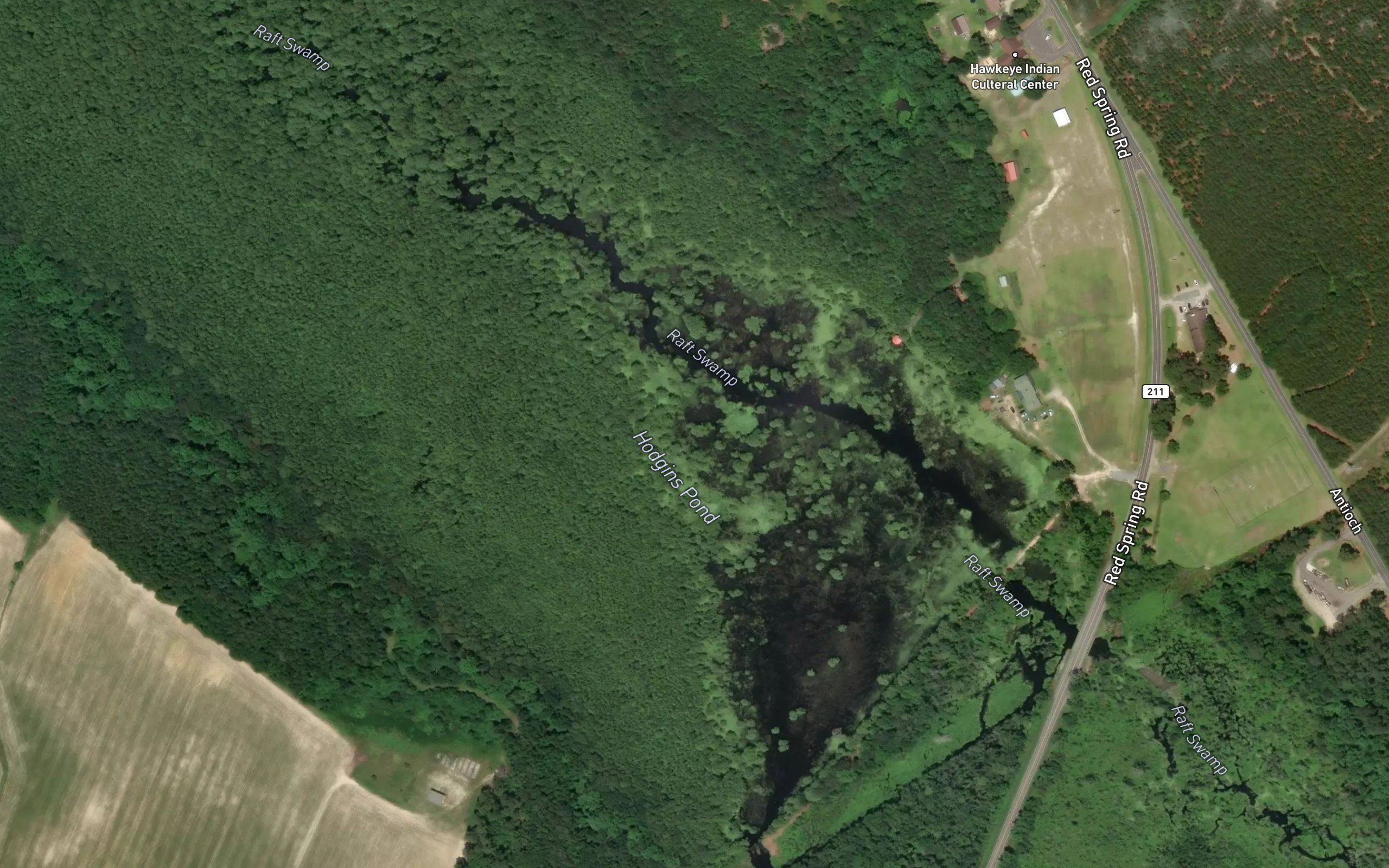 Hodgins Pond