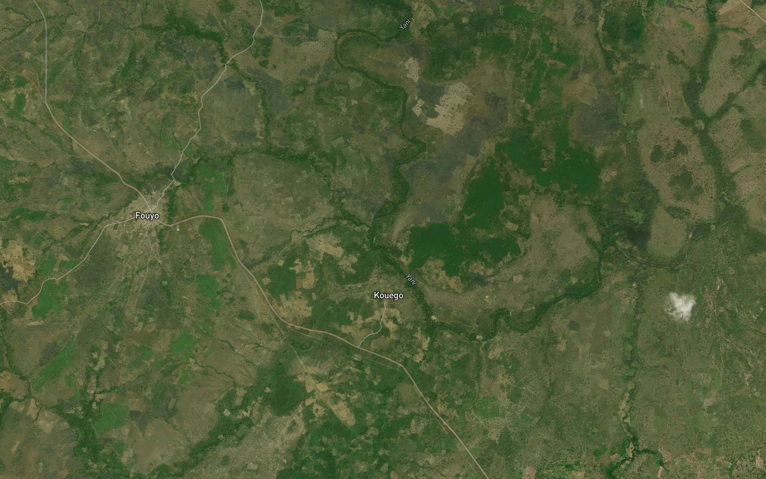 Yarani