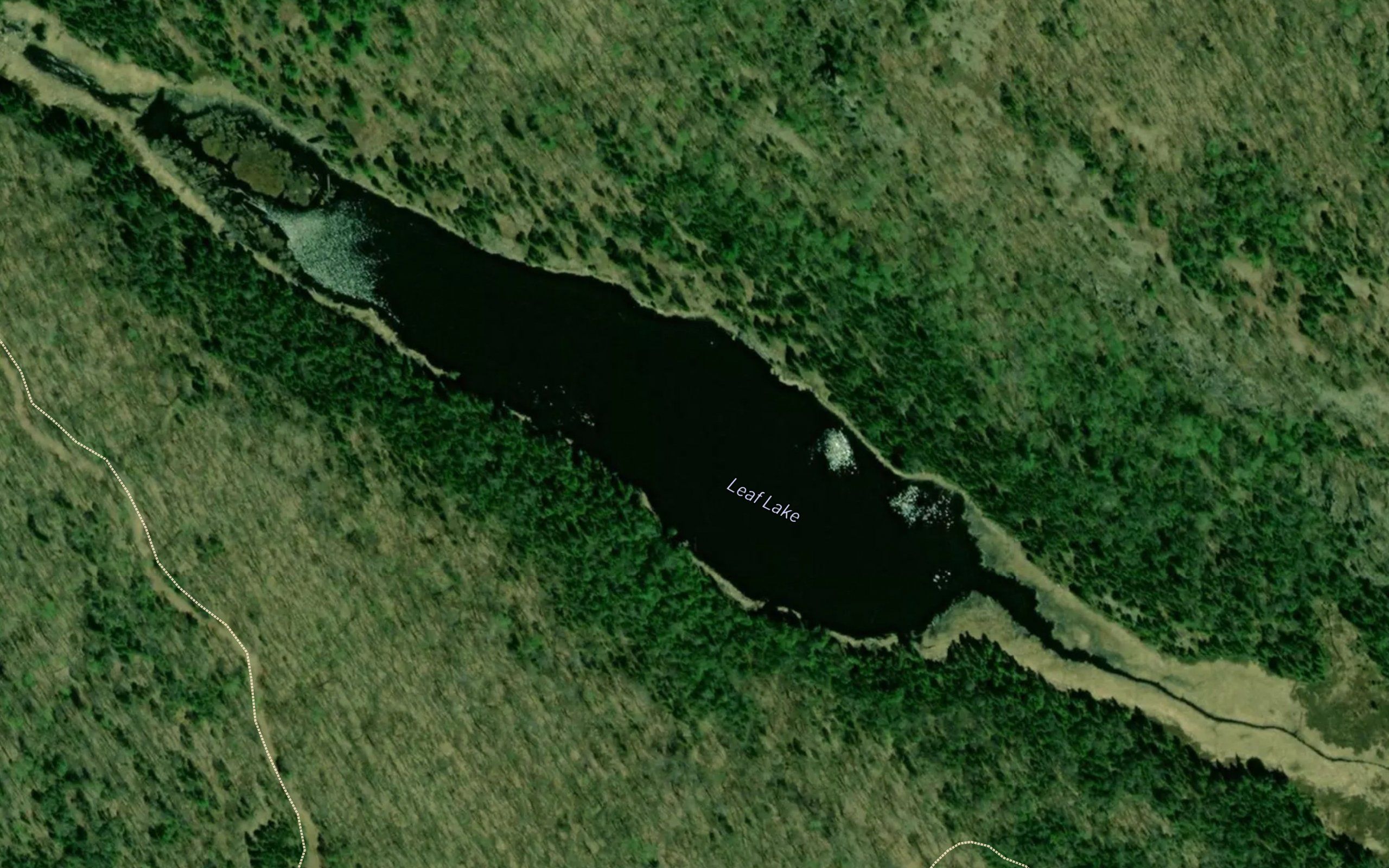 Leaf Lake