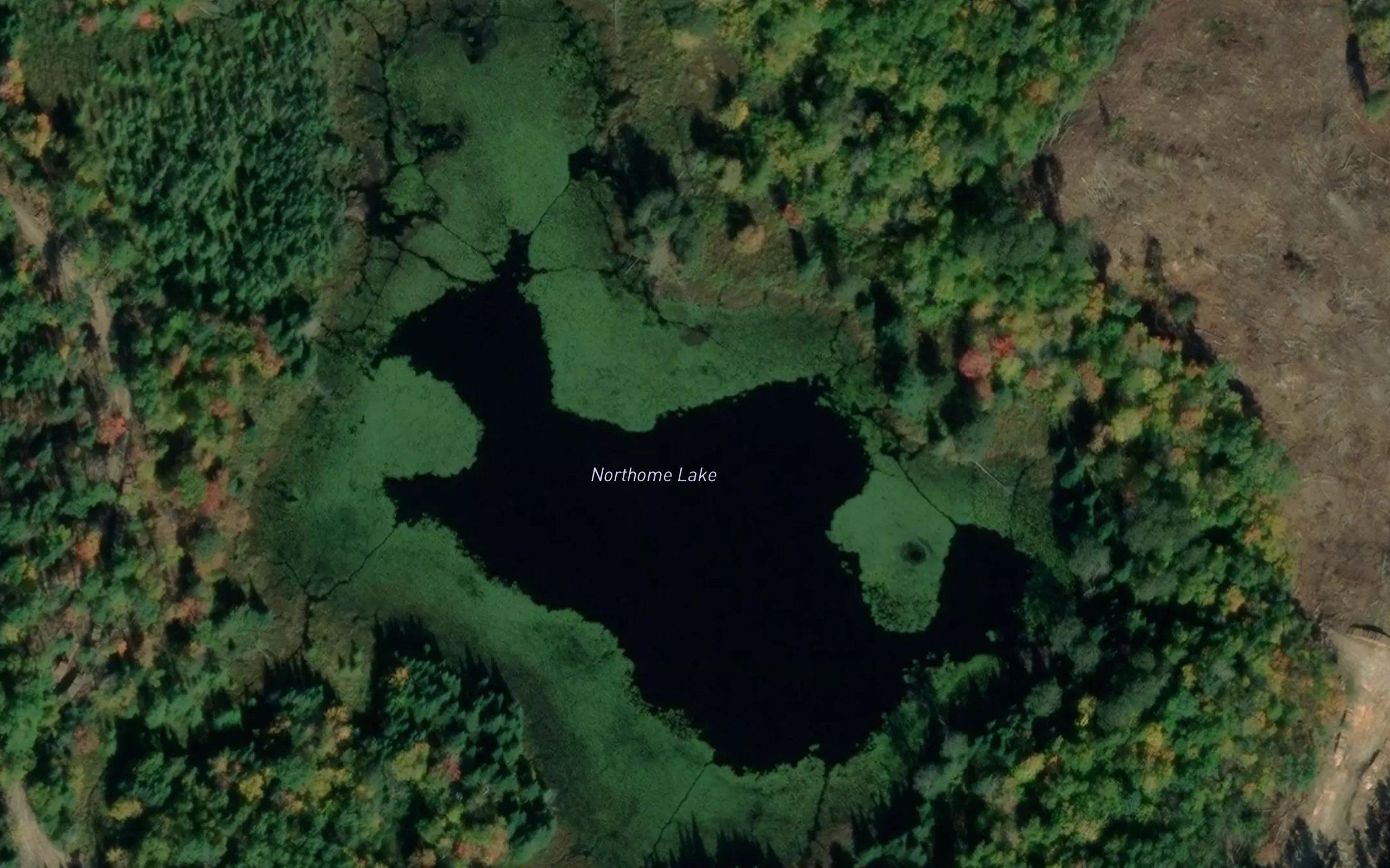 Northome Lake