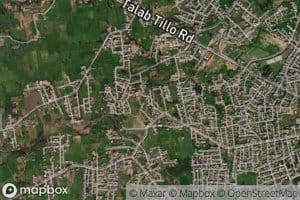 Distributary Number Seven D