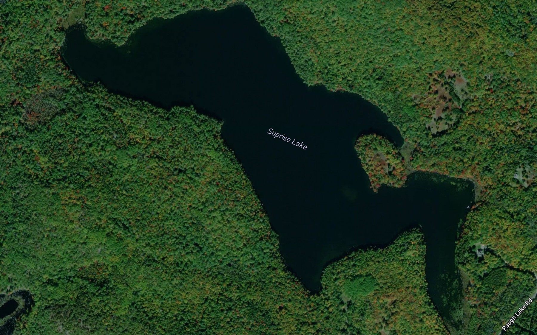 Satellite map of the Surprise Lake