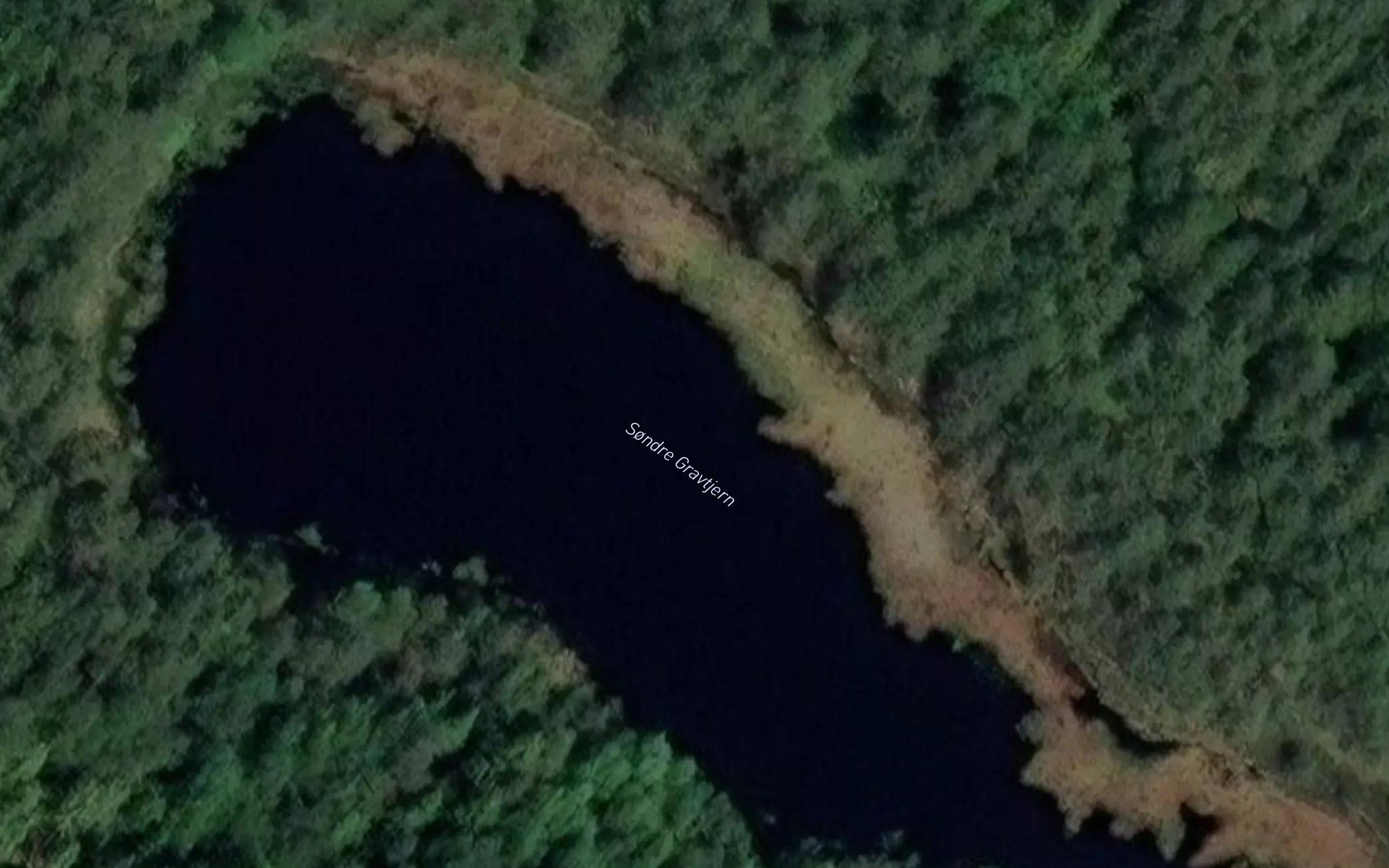 Gravtjerna