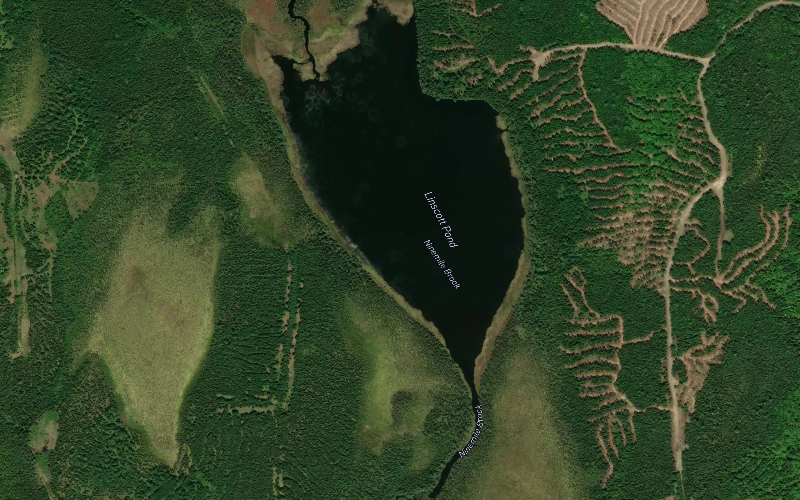 Linscott Pond