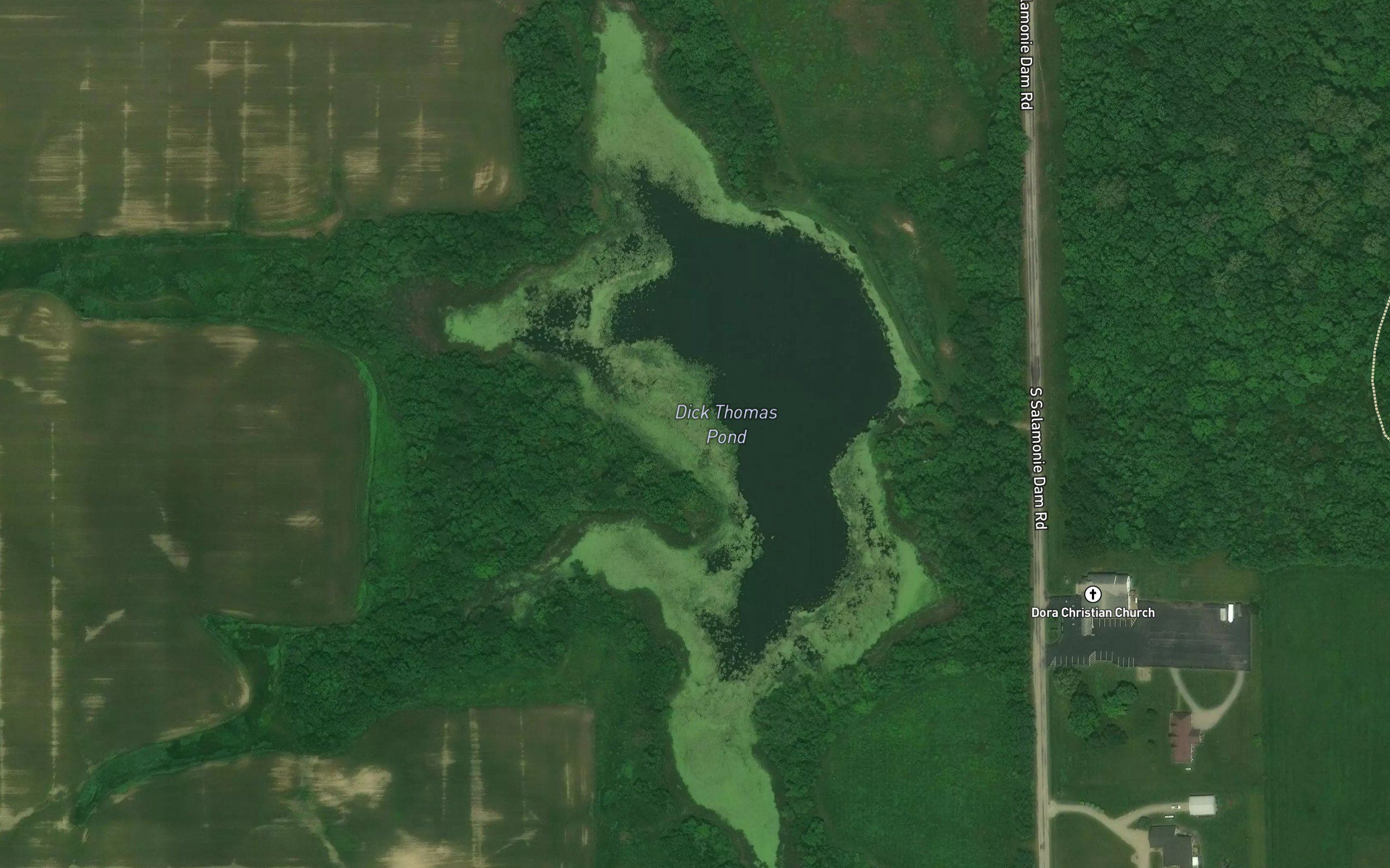 Dick Thomas Pond