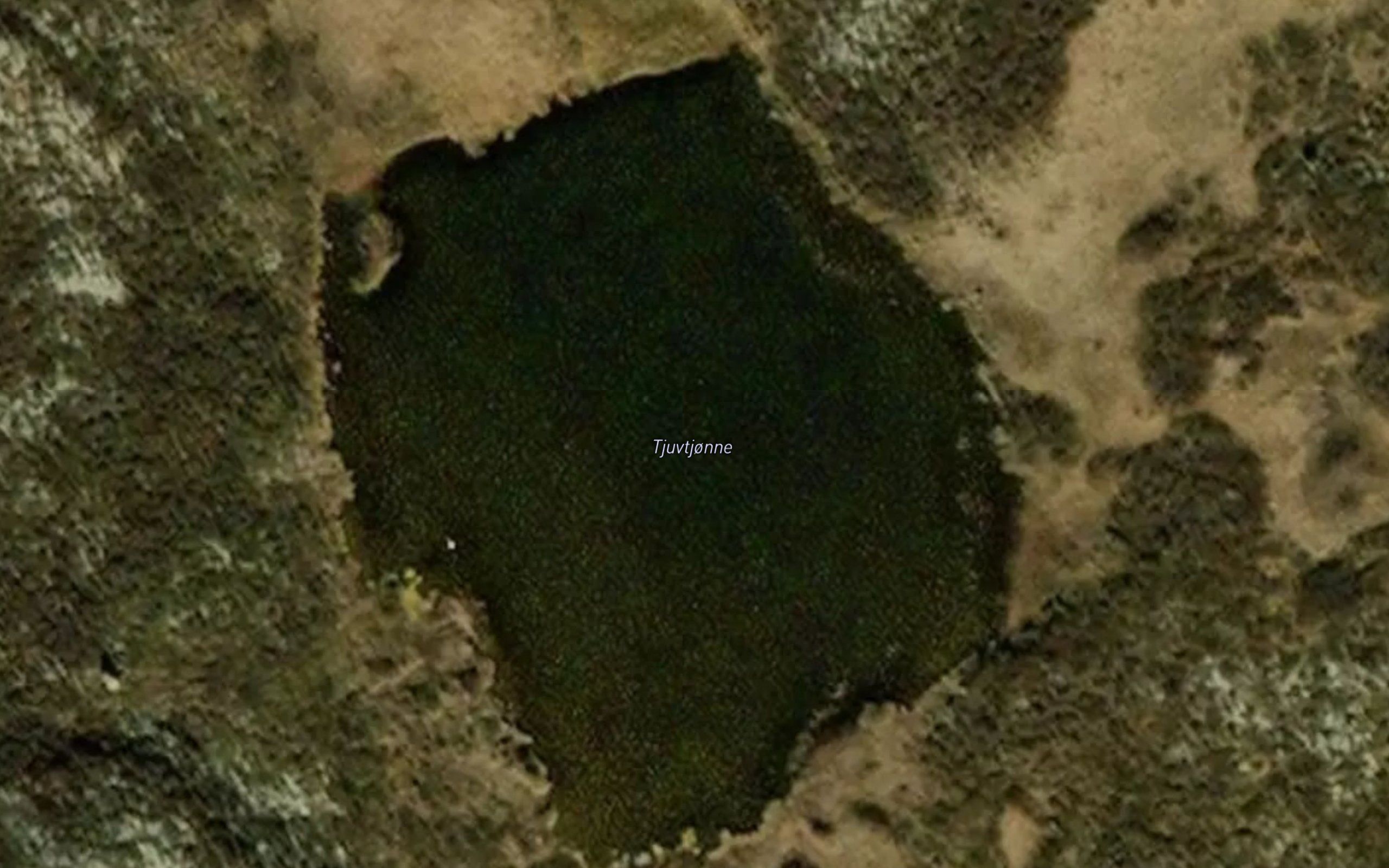 Tjuvtjorni