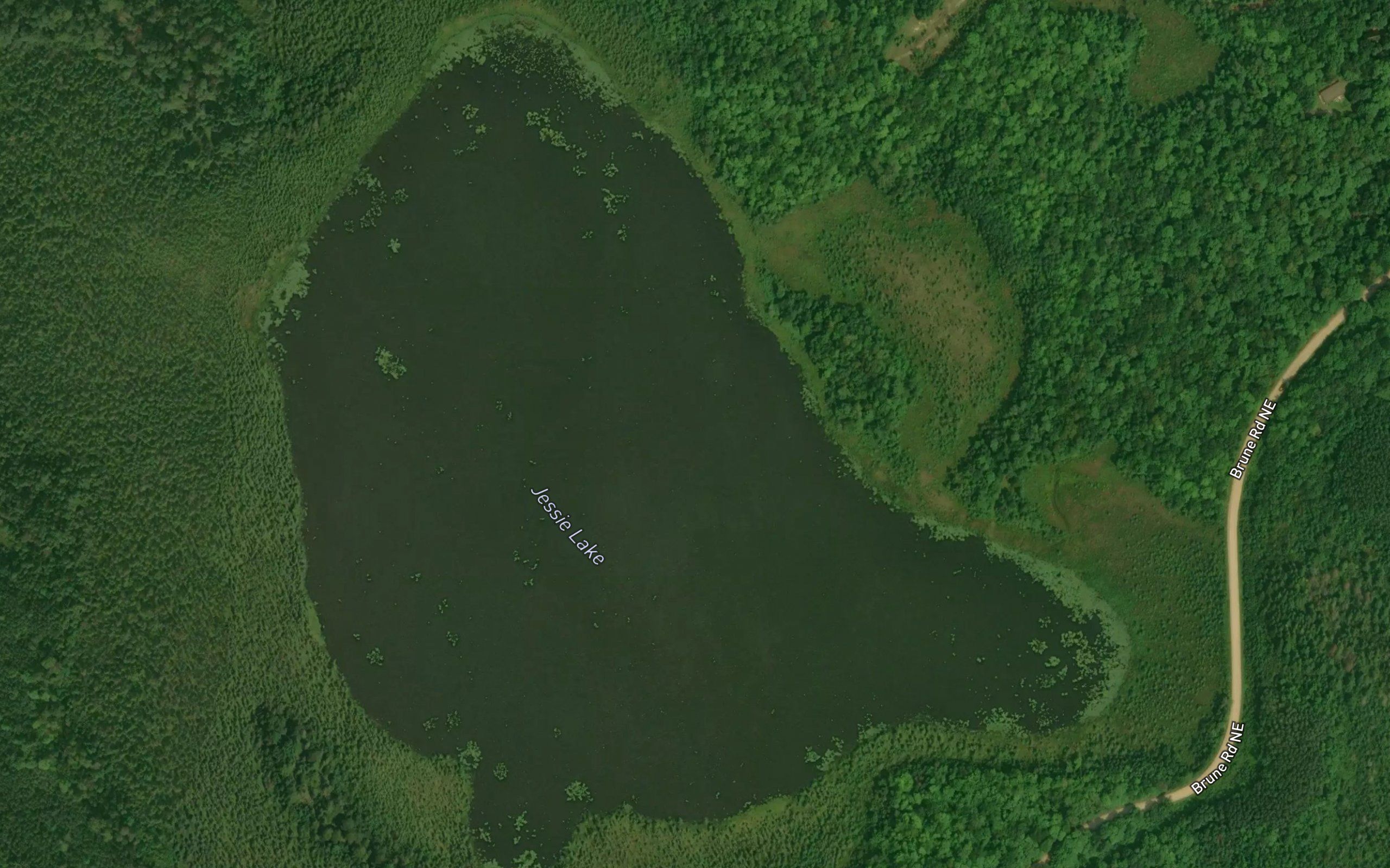 Jessie Lake