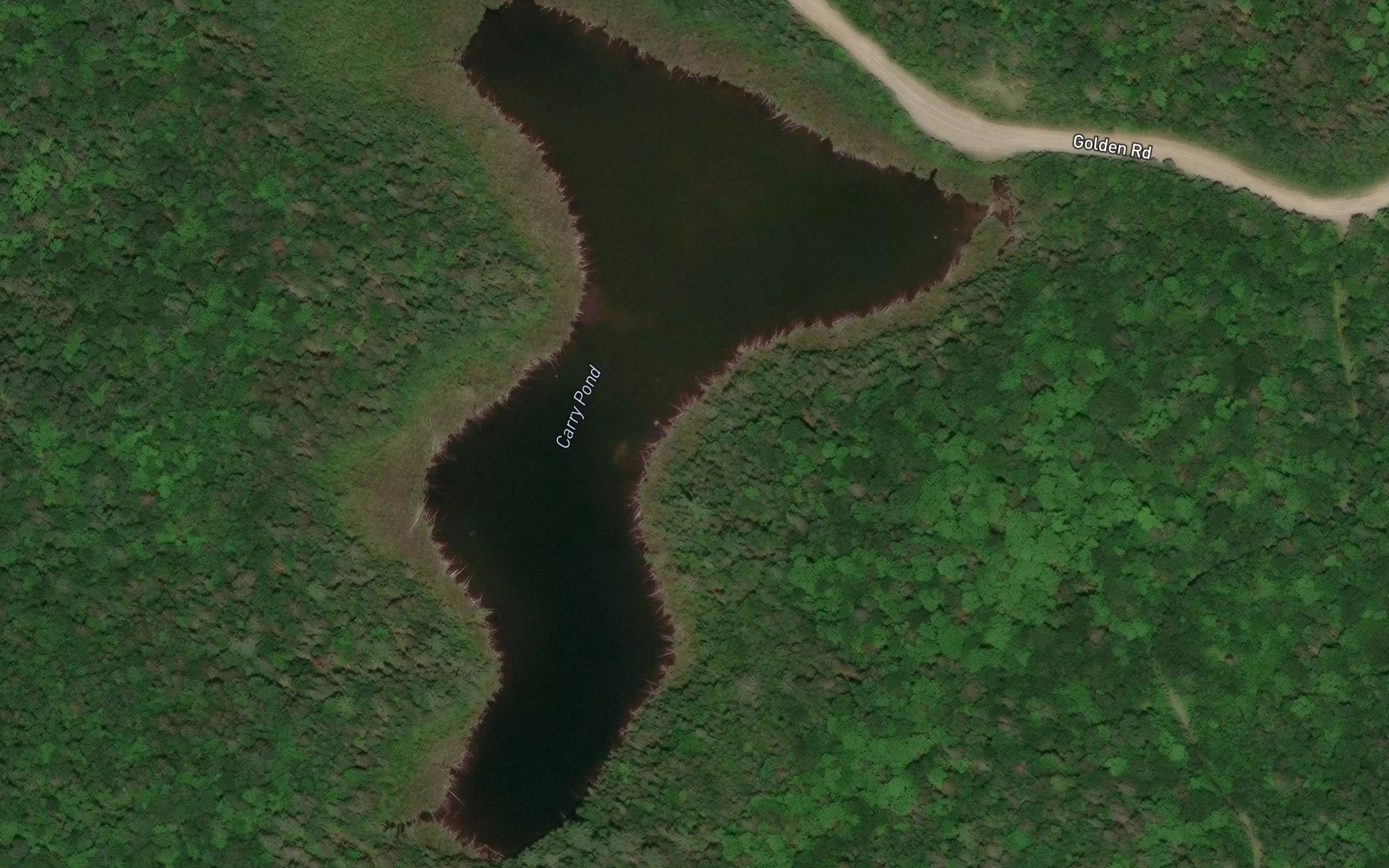 Carry Pond