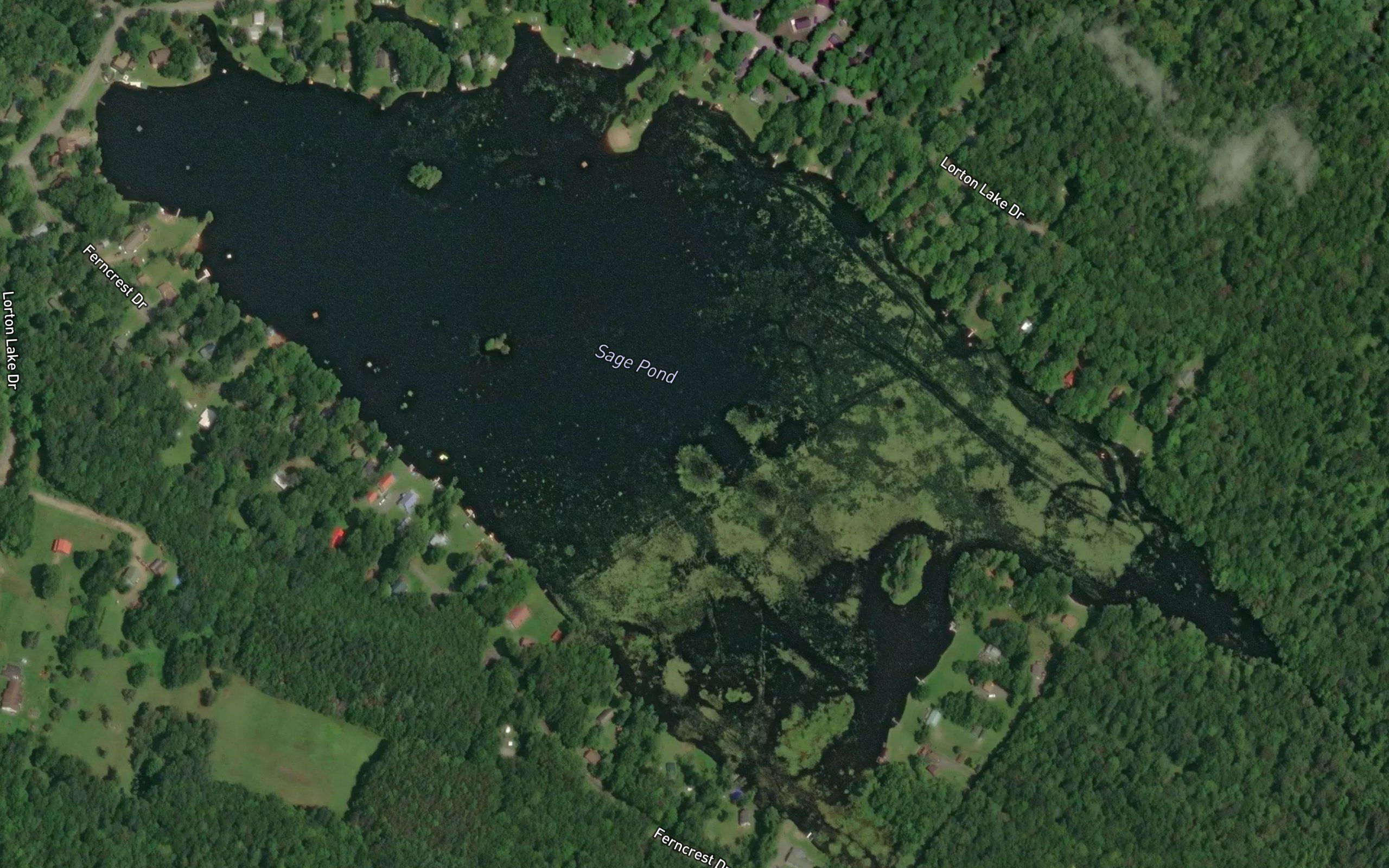 Sage Pond