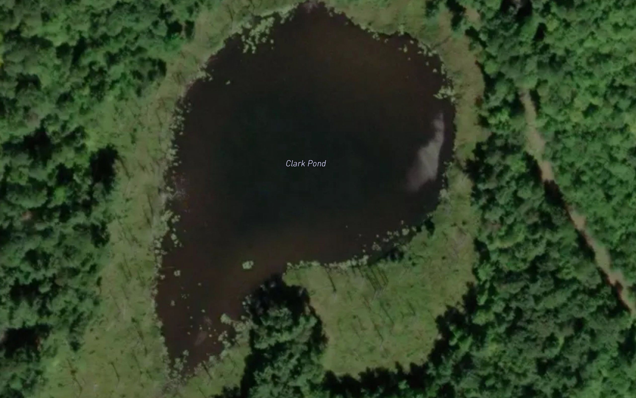Clark Pond