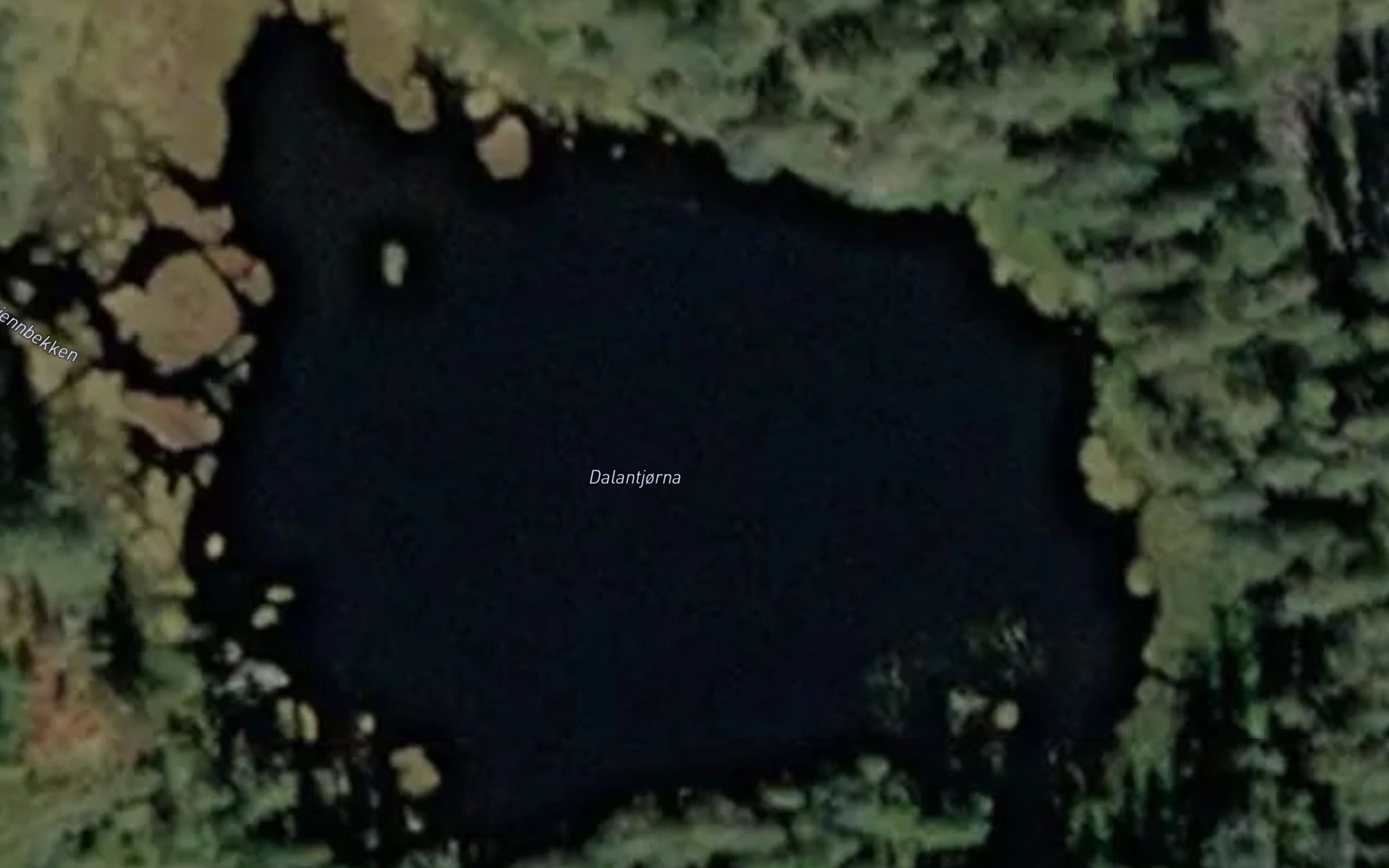Dalantjorna