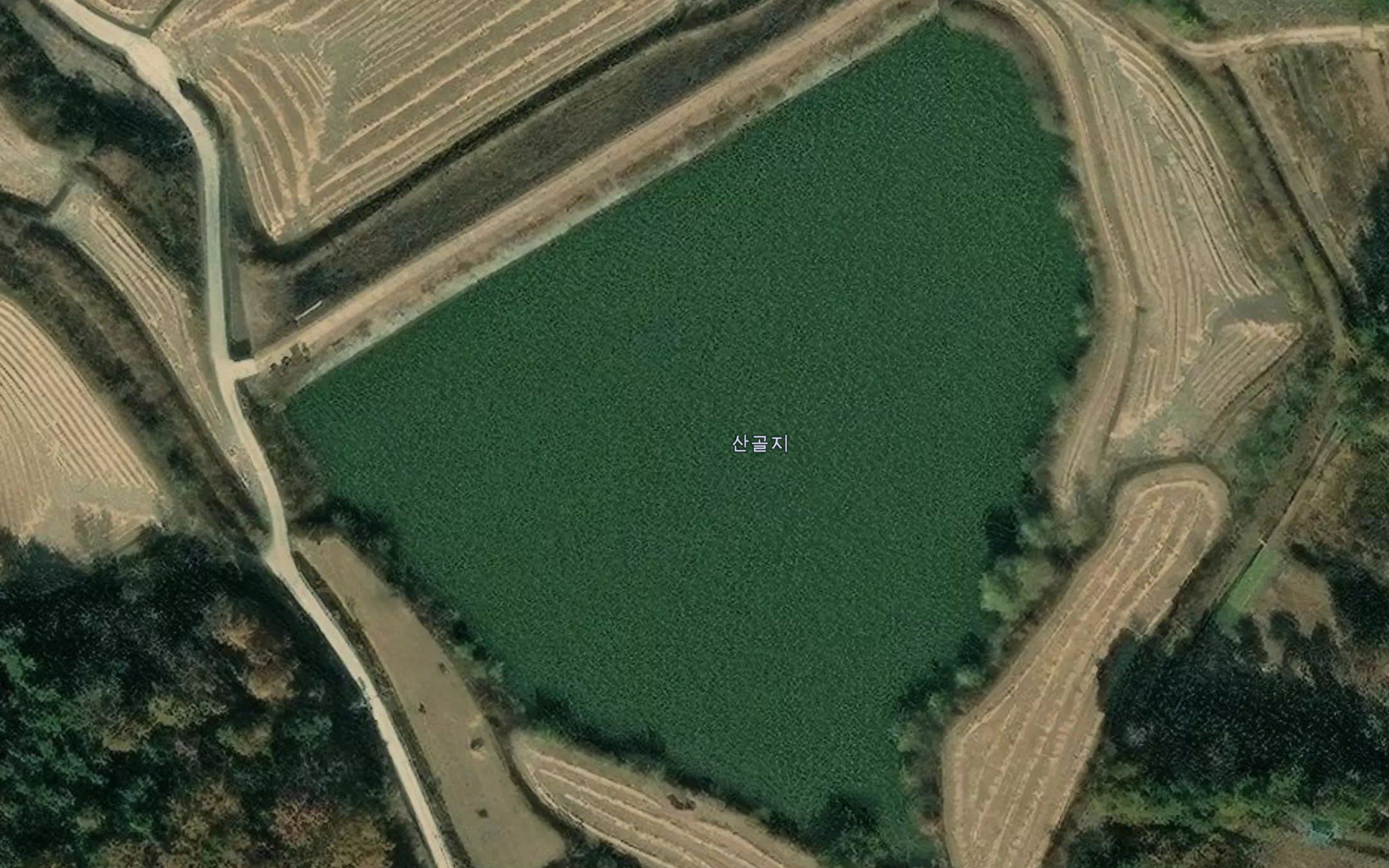 Sangolji
