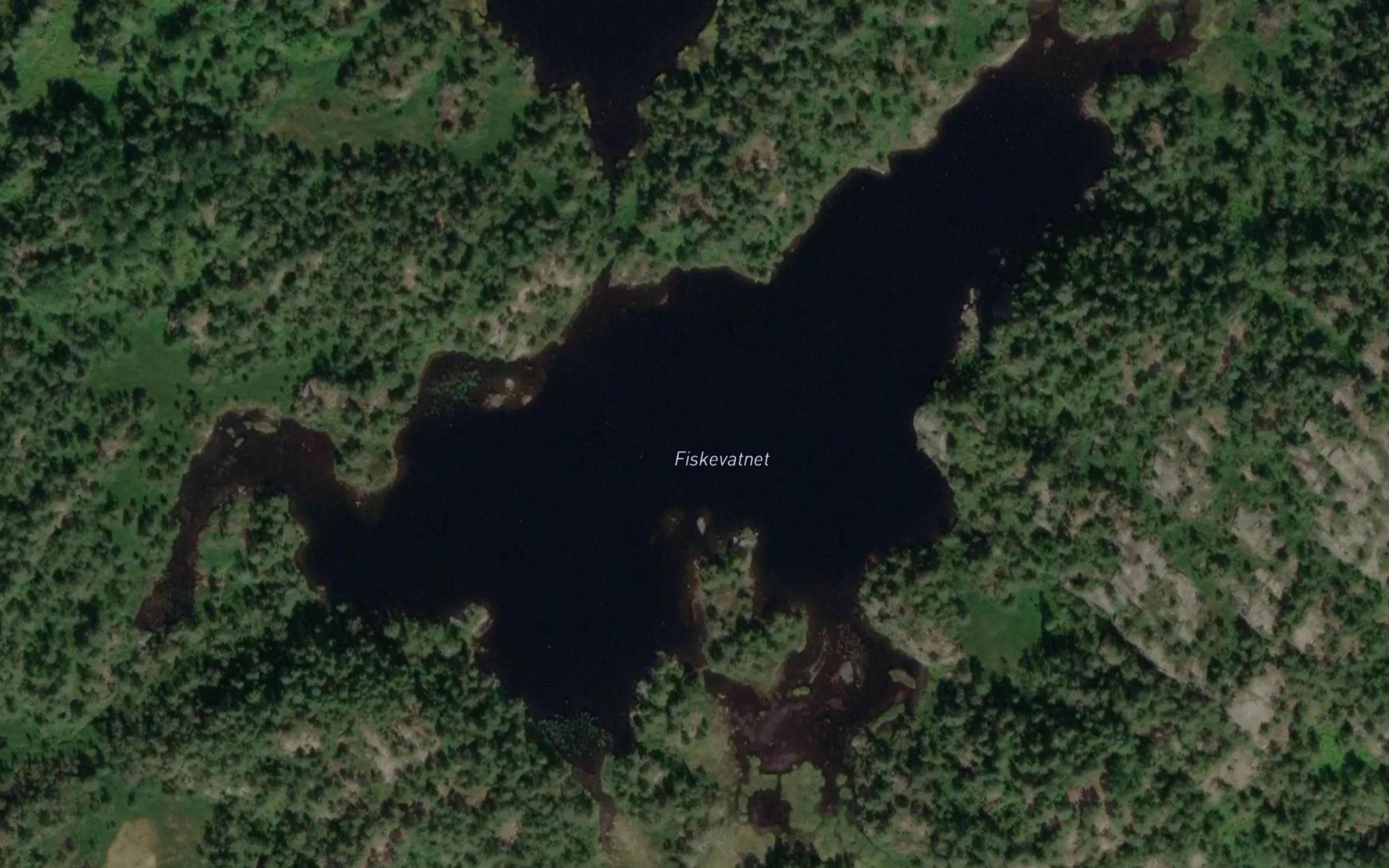 Fiskevatnet