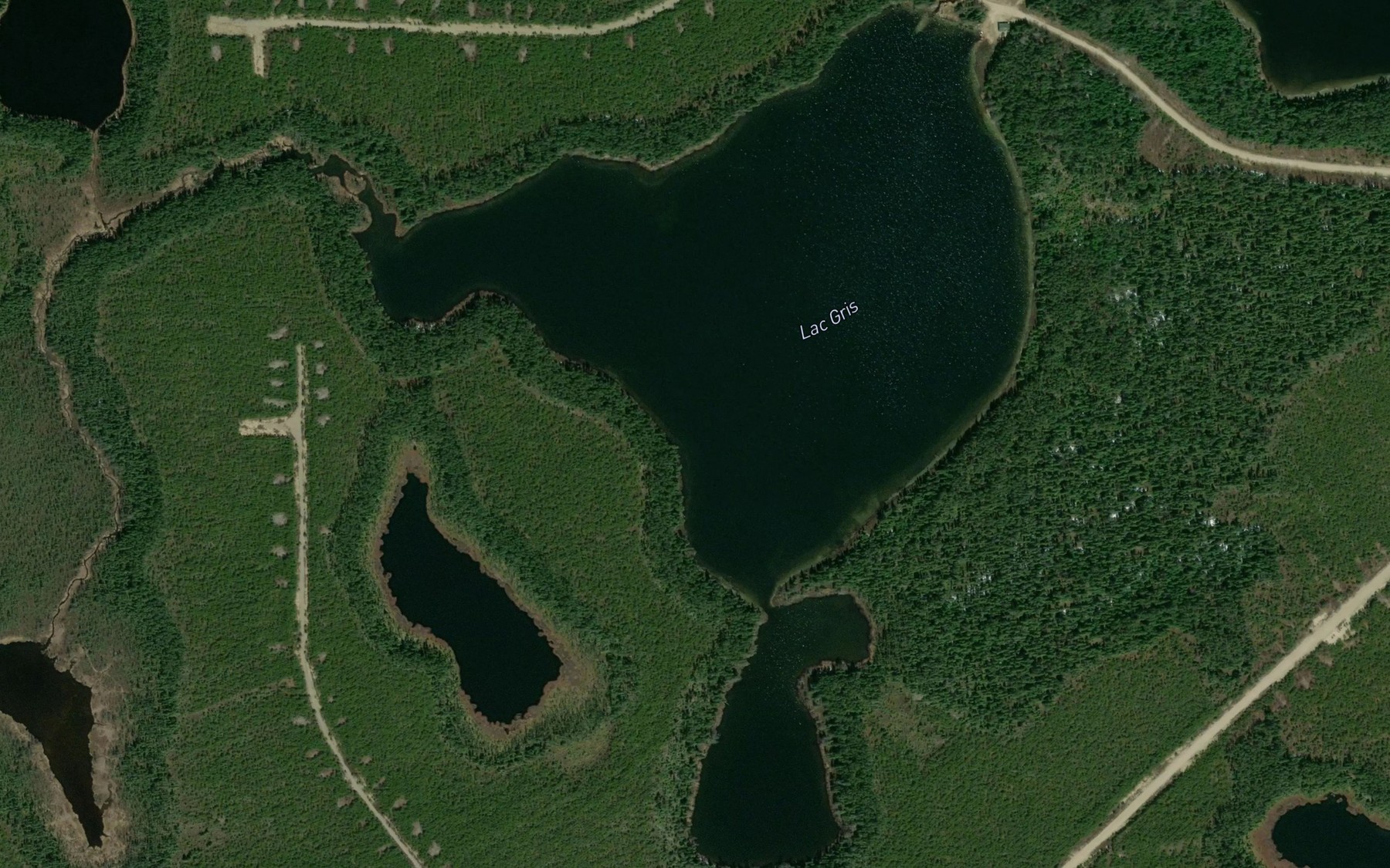 Satellite map of the Lac Gris