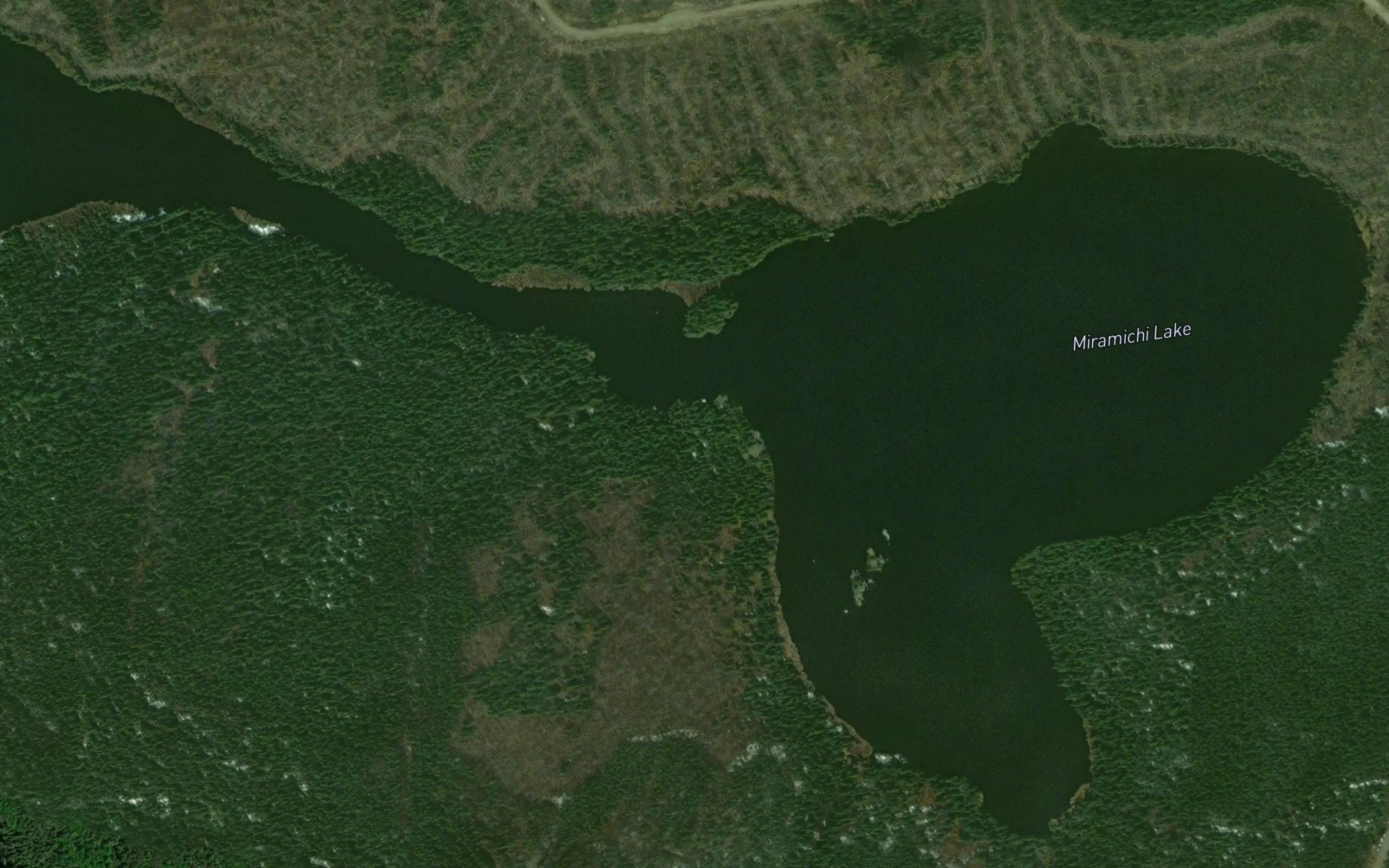 Miramichi Lake