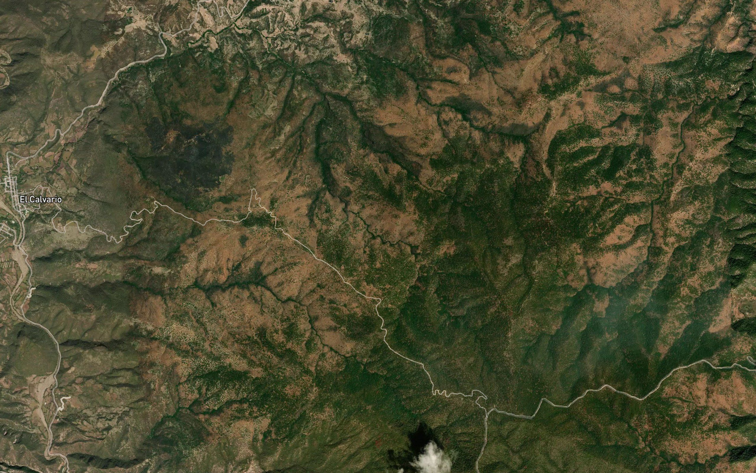Temascalillo