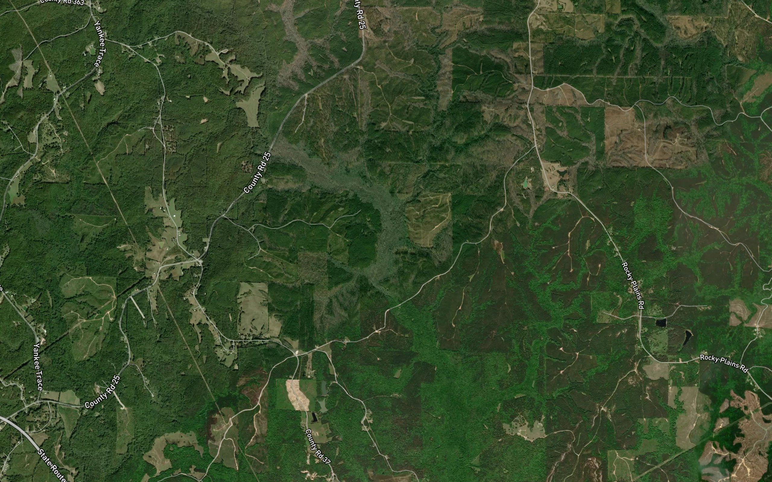 Bluff Creek