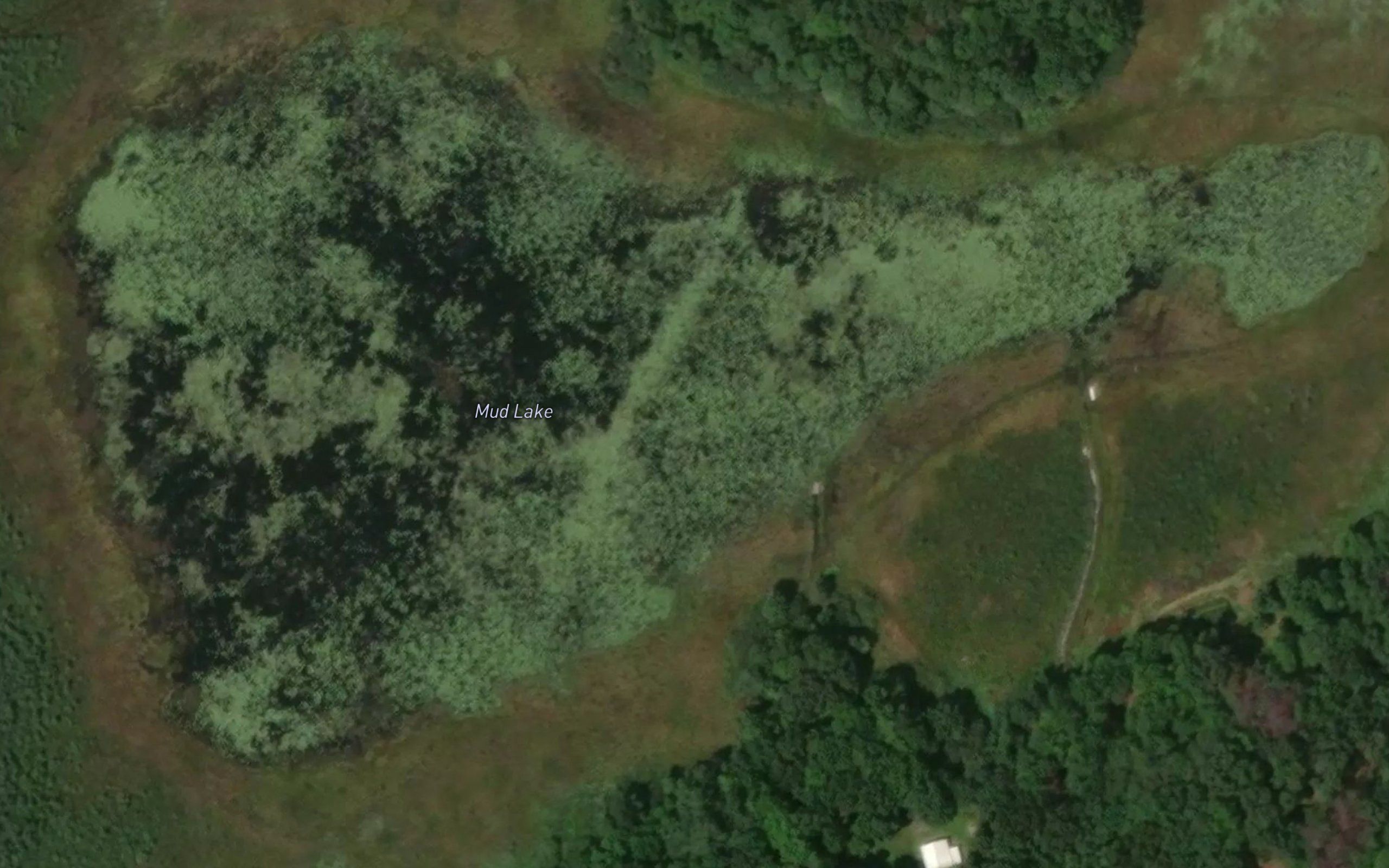 Mud Lake