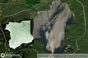 Gull Pond