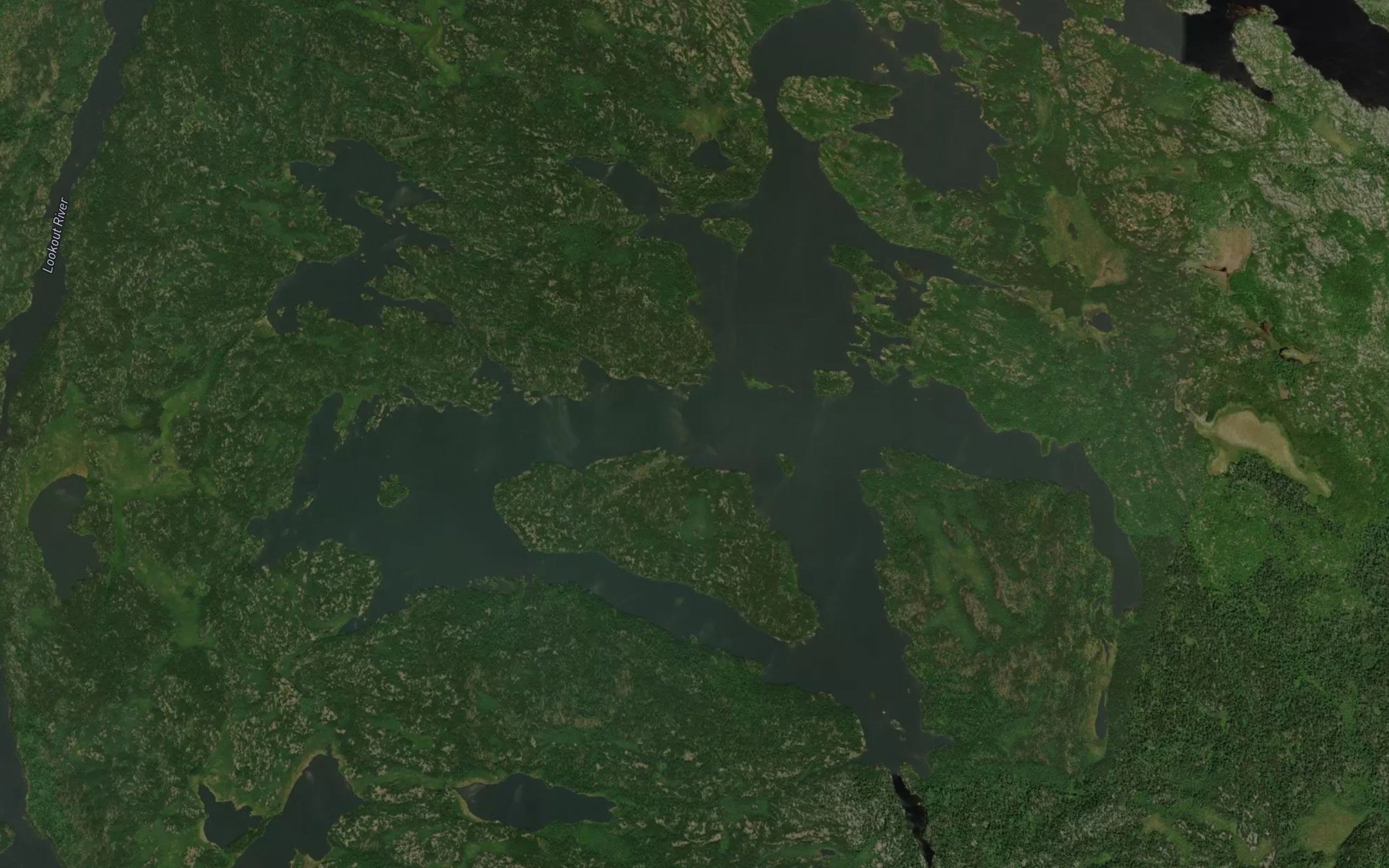 Satellite map of the Surprise Lake