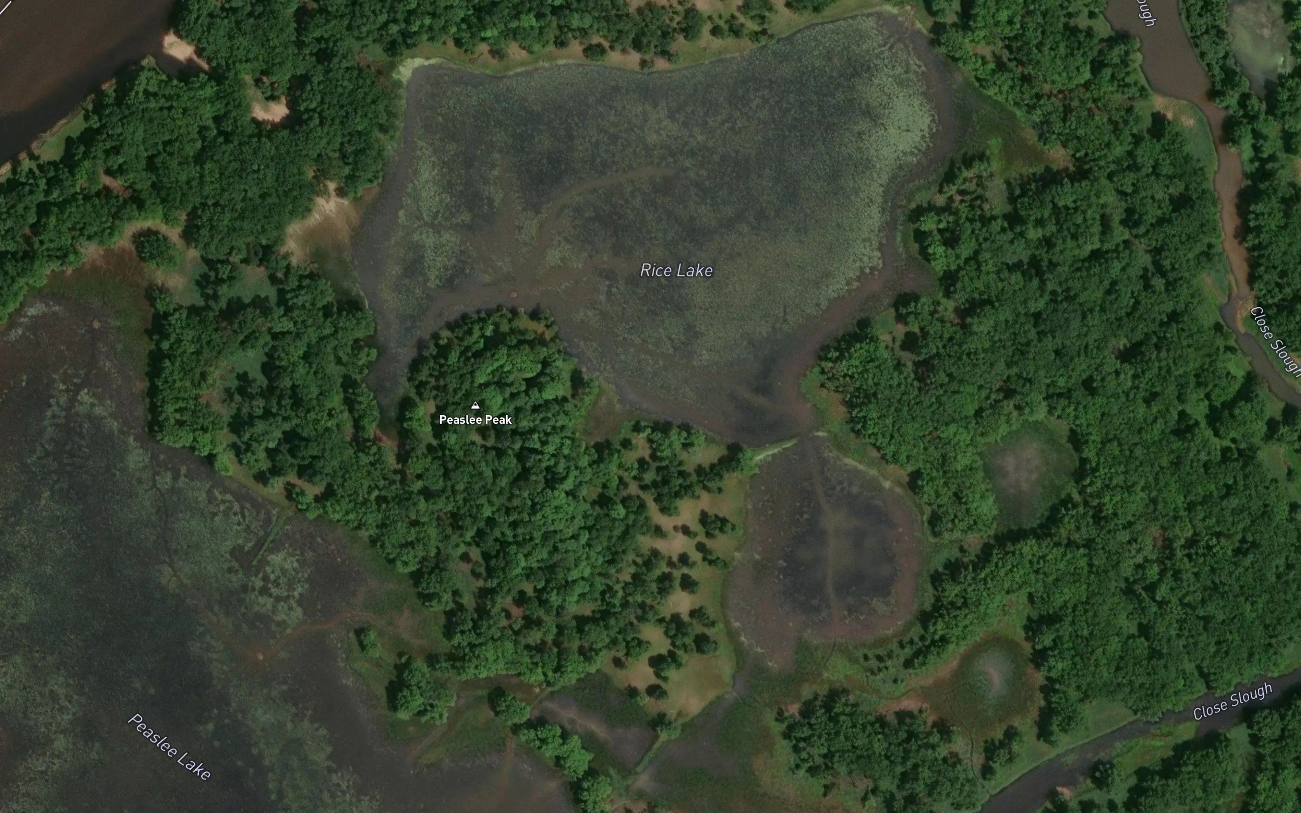 Rice Lake