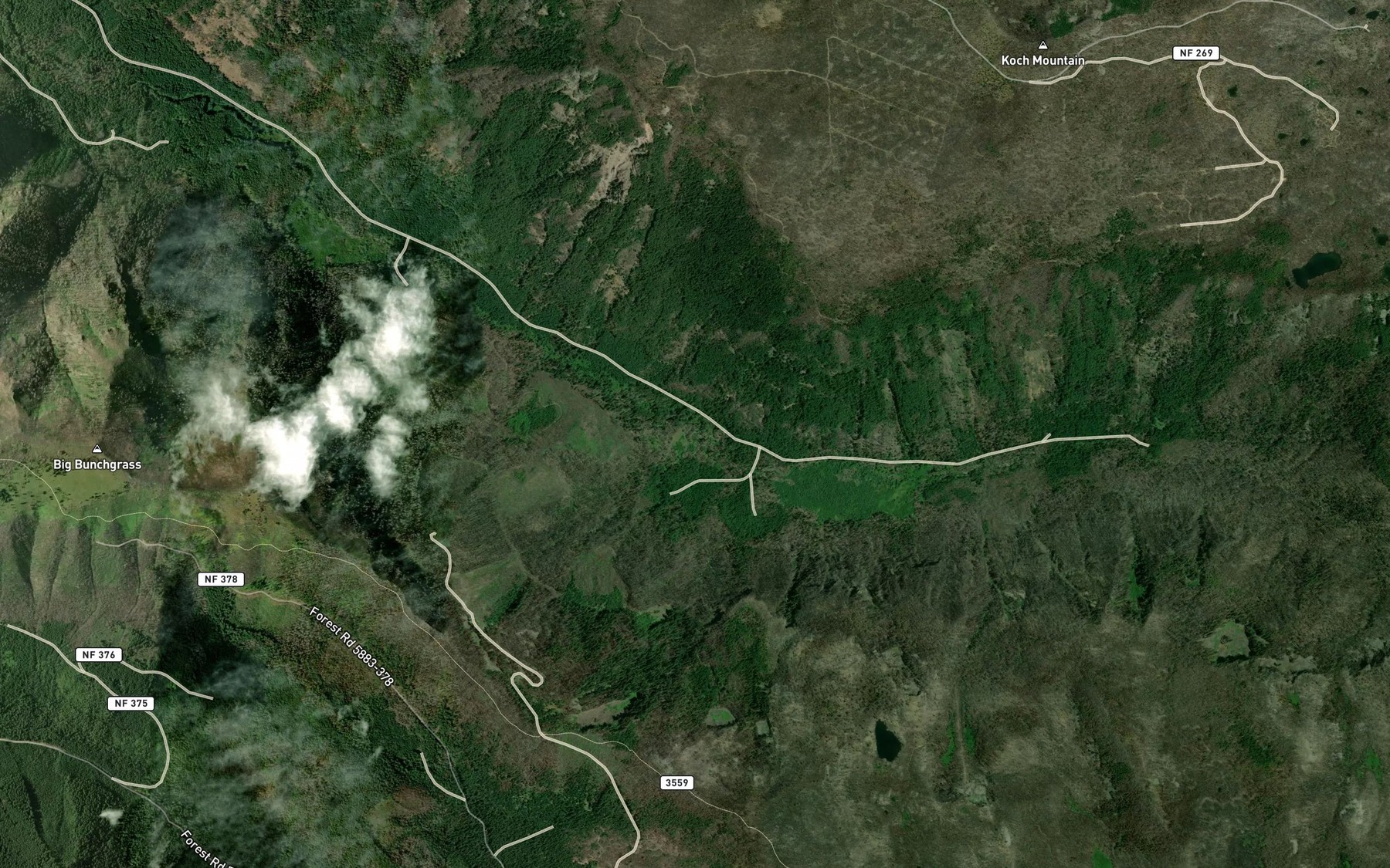 Satellite map of the Louise Creek