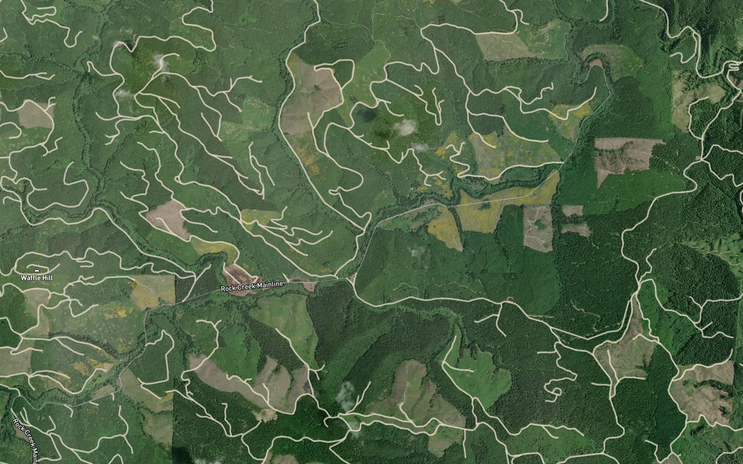 Weed Creek