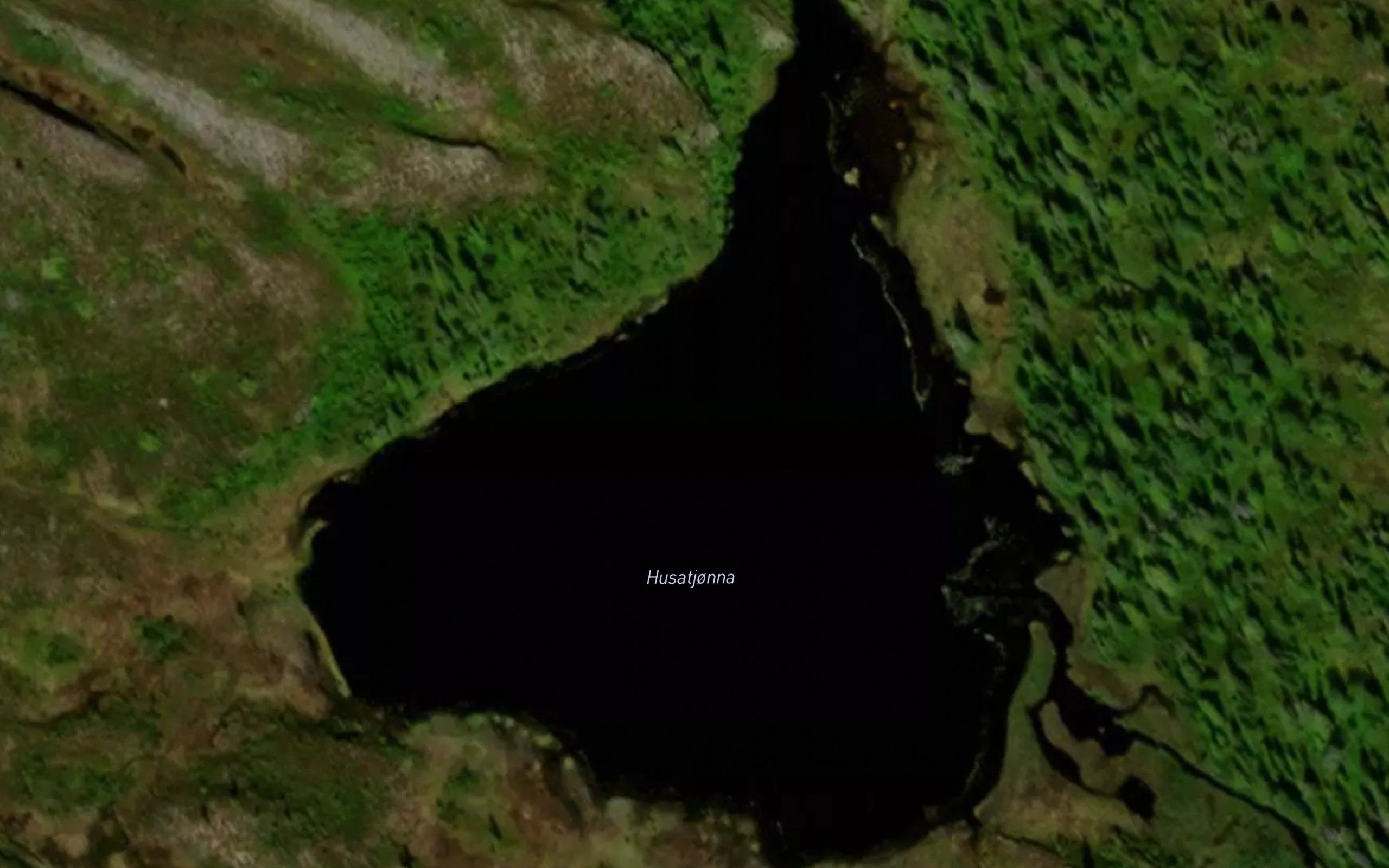 Husatjorna