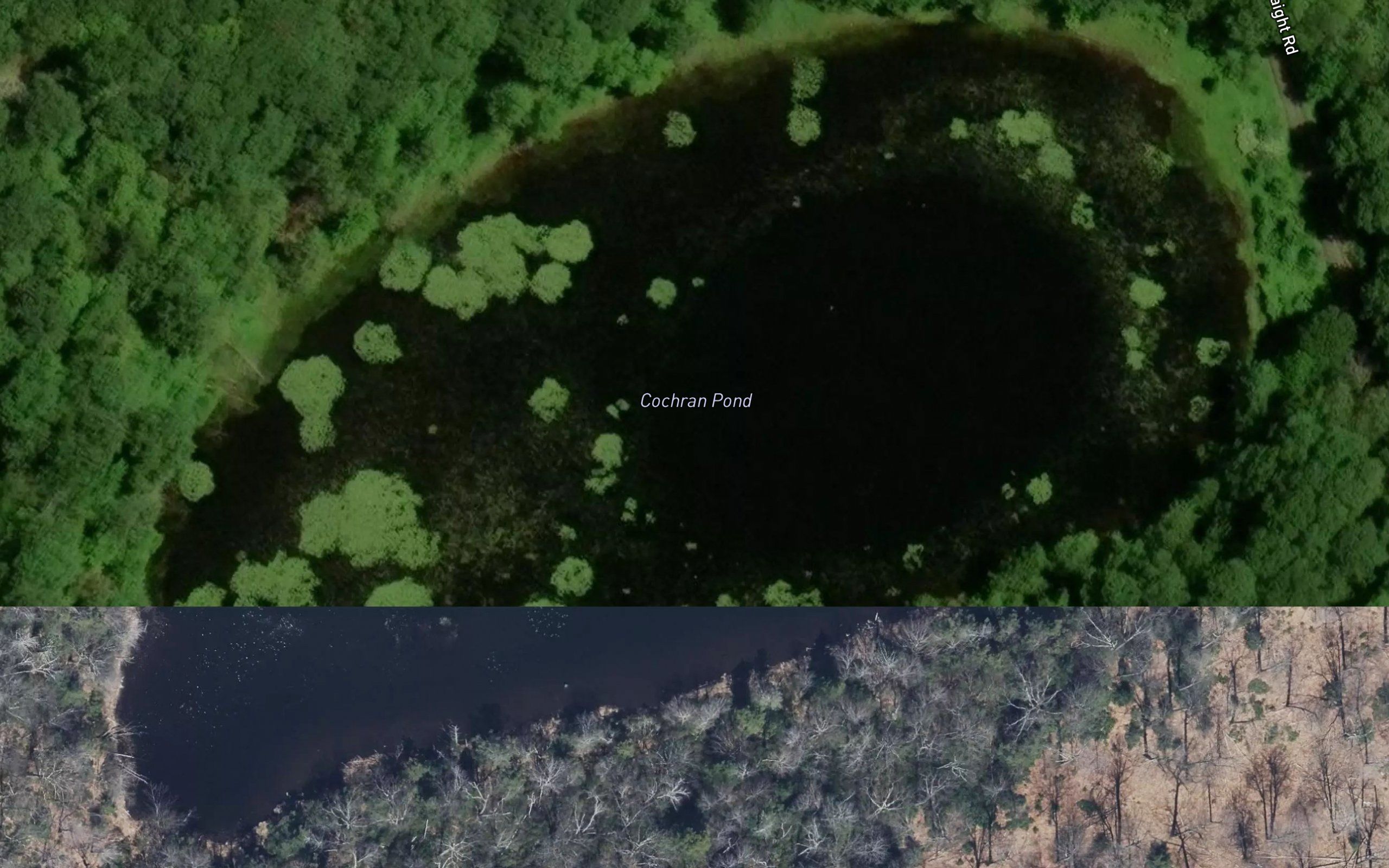 Cochran Pond