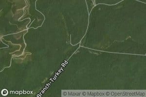 Laurel Fork