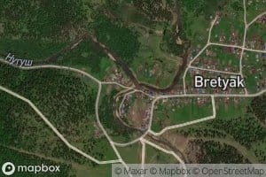 Bretyak