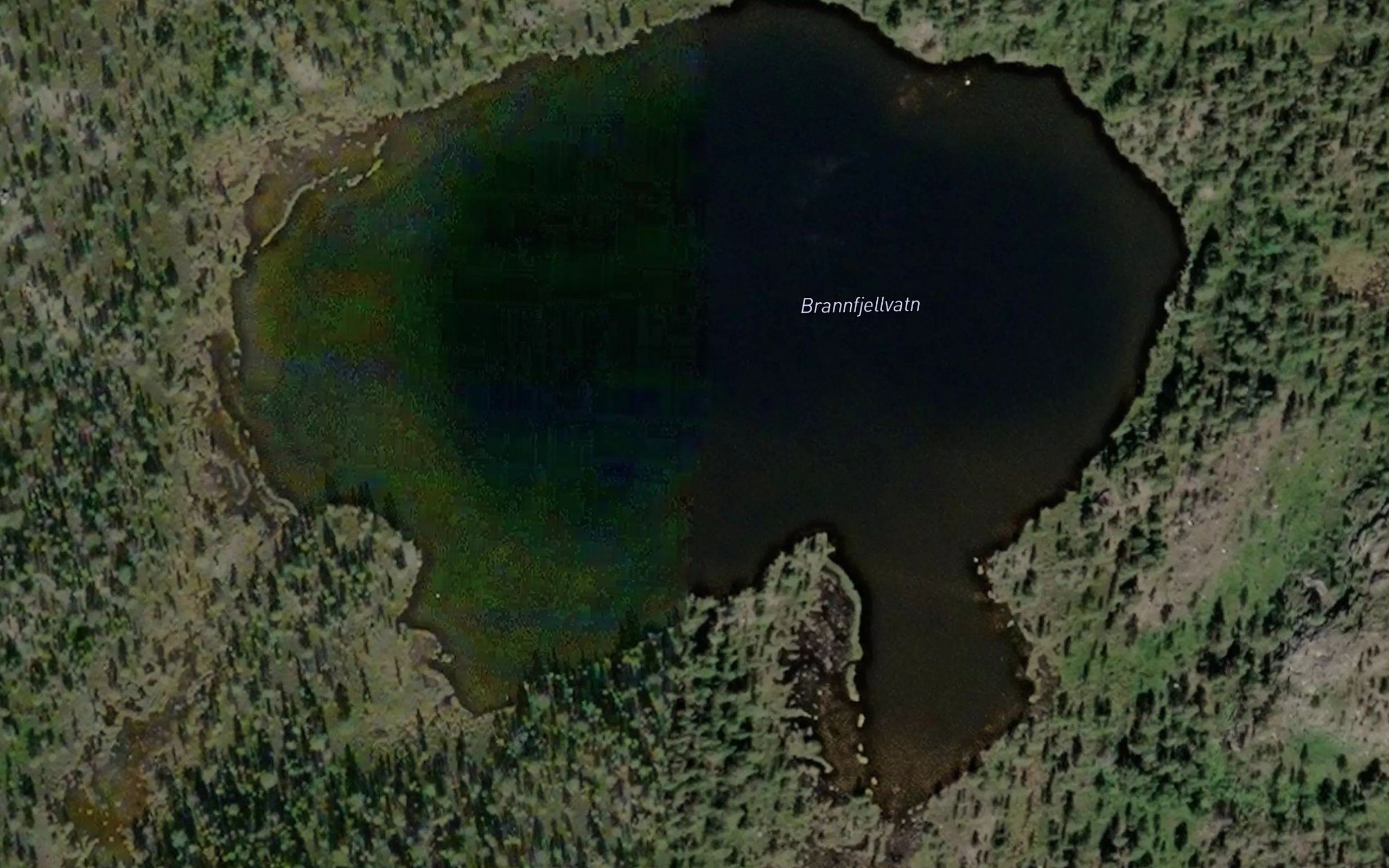 Brannfjellvatn