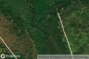 Branch of Fivemile Brook