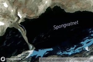 Spongvatnet