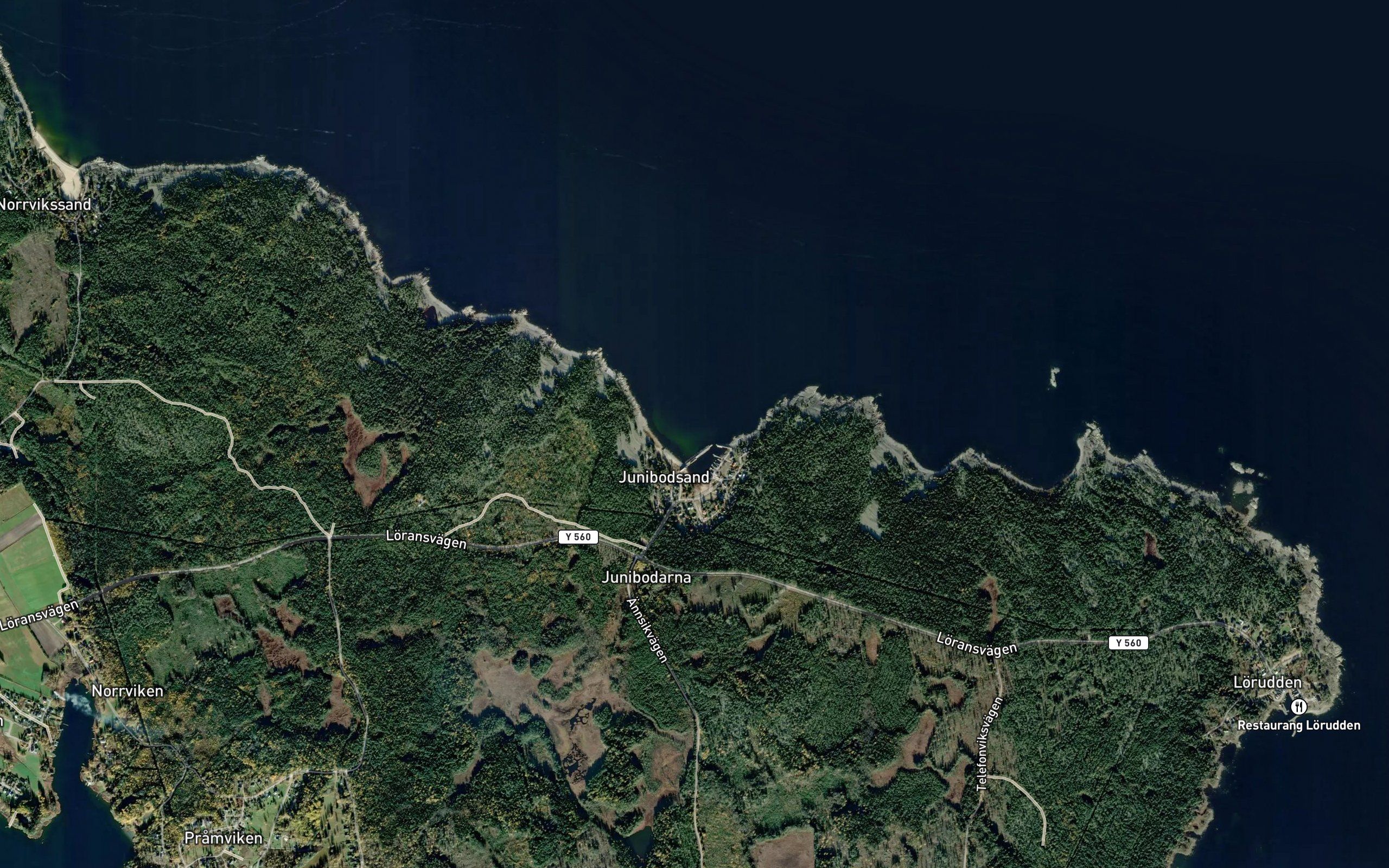 Bodviken