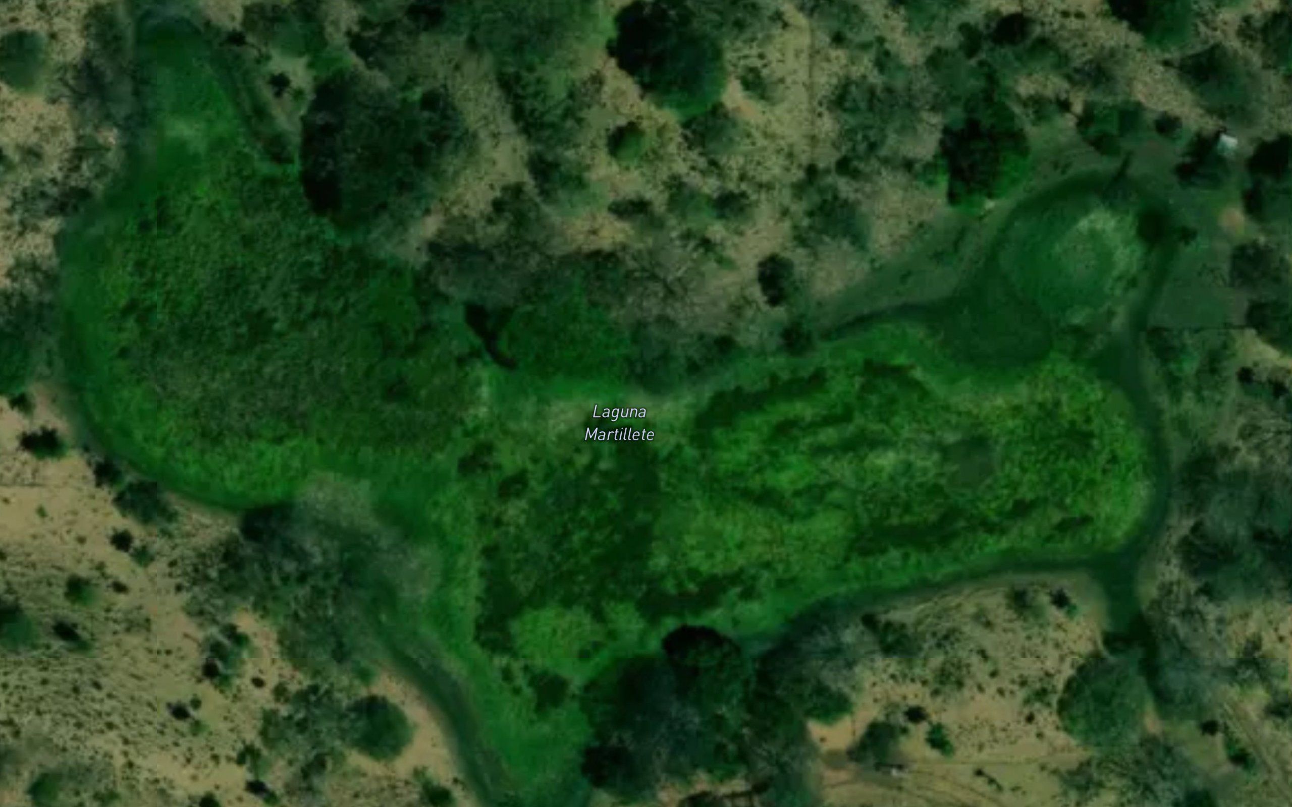 Laguna Martillete