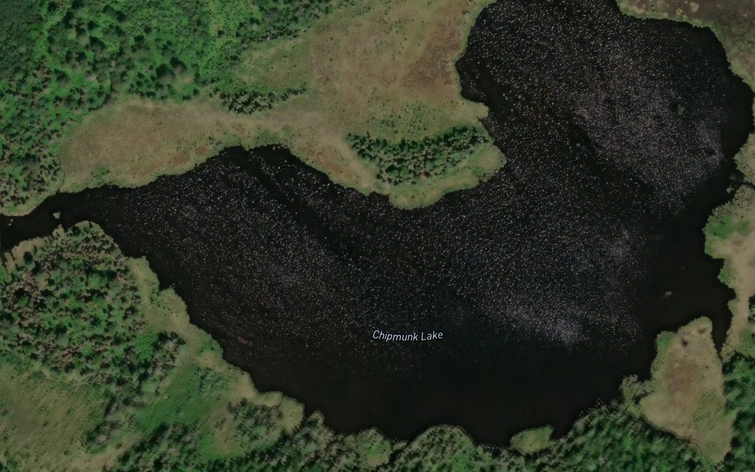 Chipmunk Lake