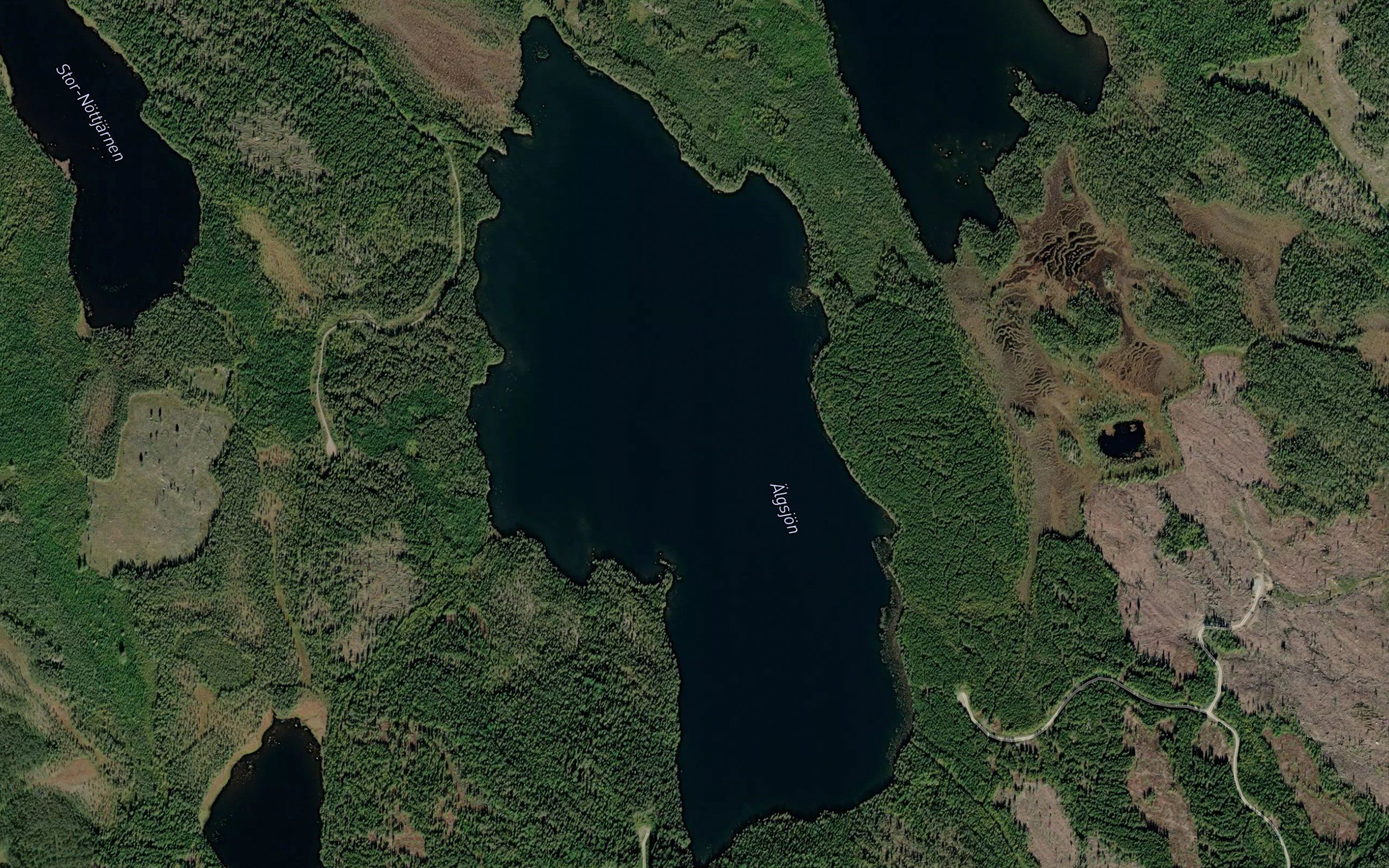 AElgsjoen