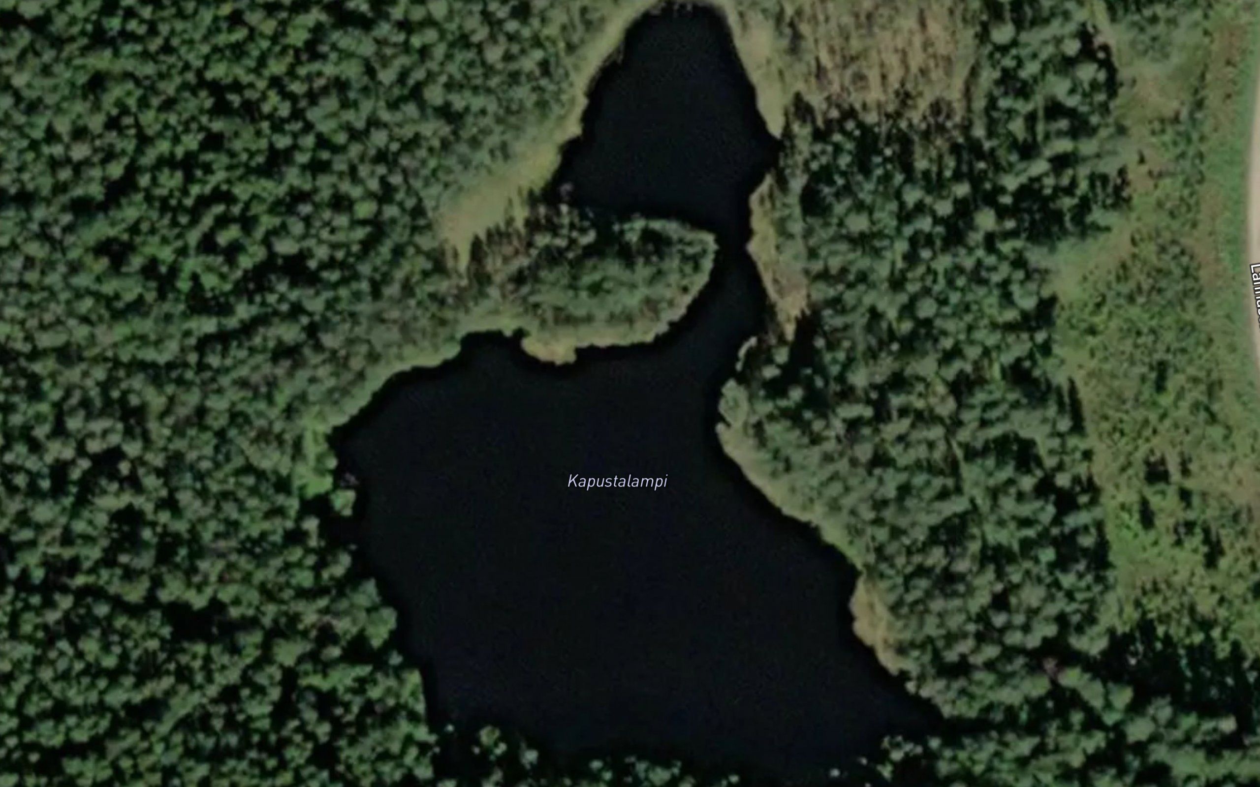 Kapustalampi